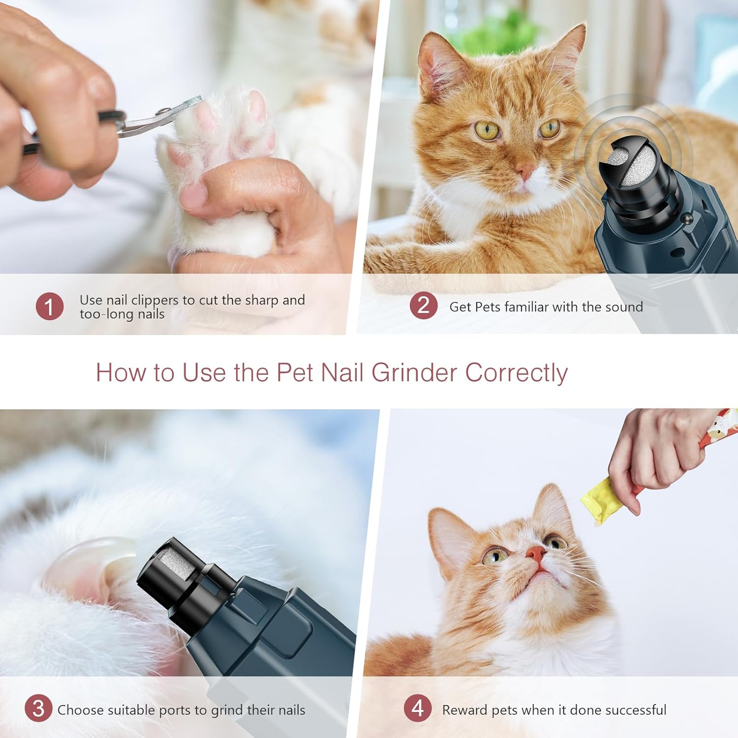 Ein Katzennagel-Grinder wird verwendet. Eine Hand hält eine Katzenpfote mit Nagelknipsern. Ein anderes Bild zeigt eine Katze mit dem Grinder.