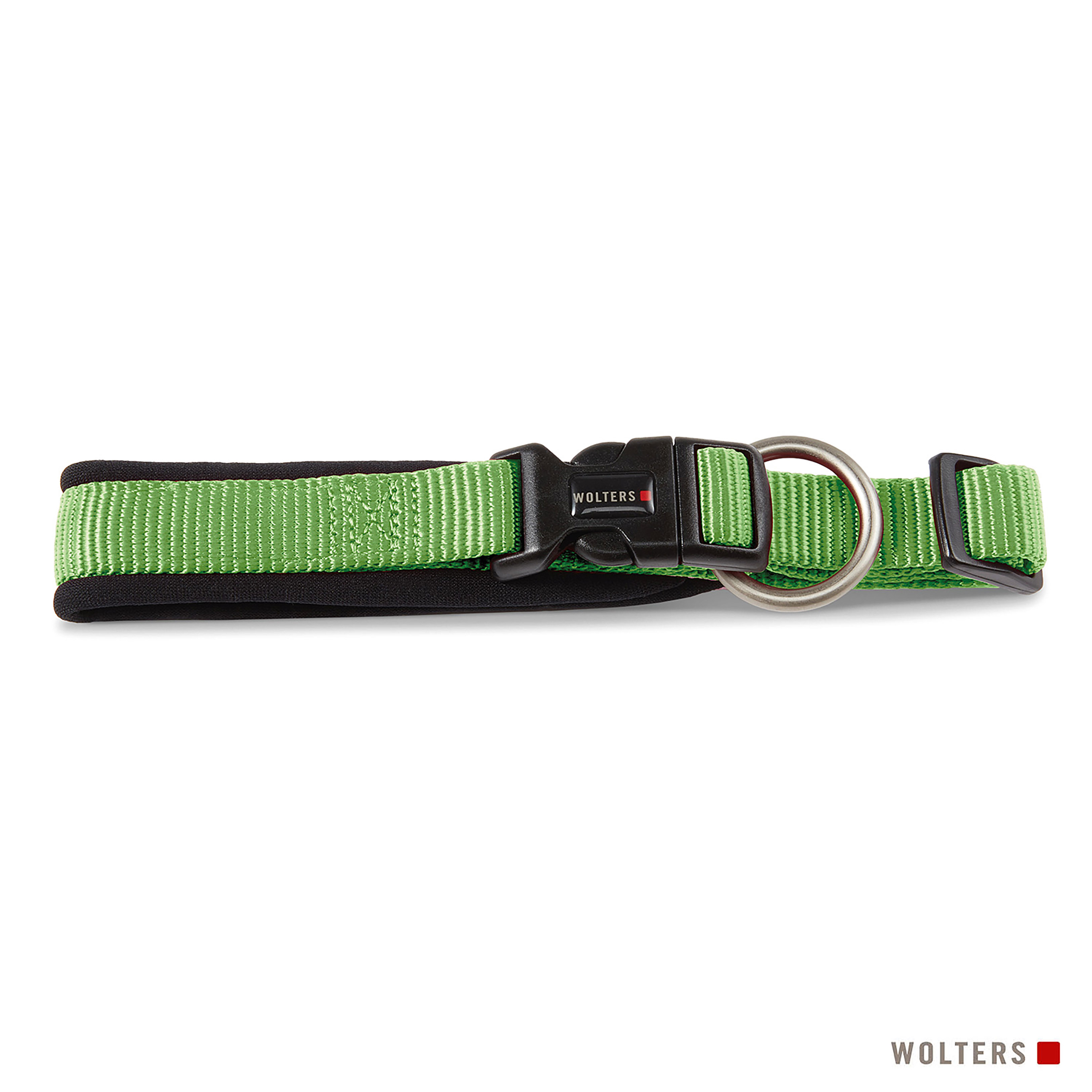 Ein grünes Hundehalsband mit schwarzer Schnalle, silbernem Ring und schwarzer Polsterung, auf weißem Untergrund.