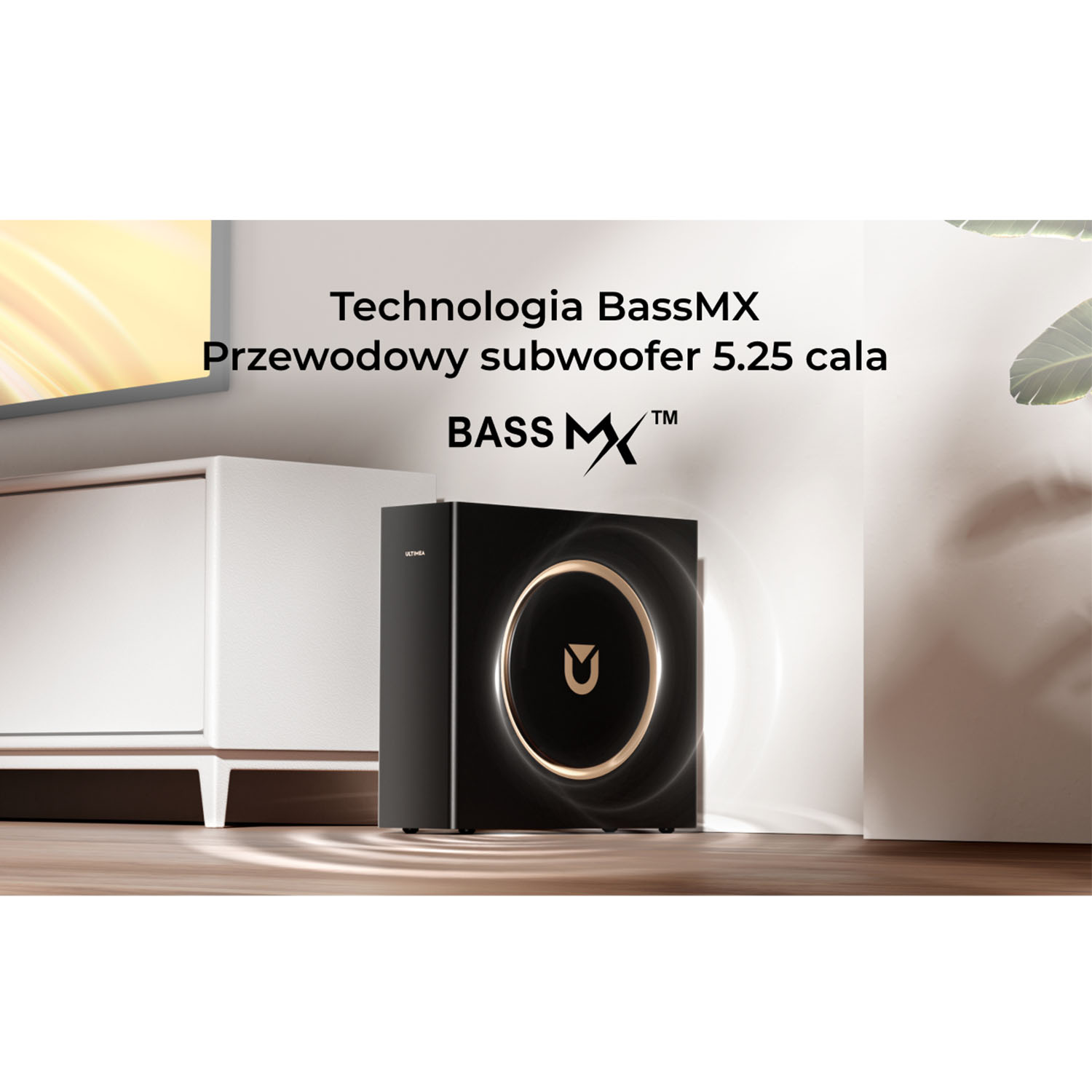 Czarny subwoofer ze złotym obramowaniem, na drewnianej podłodze. Tekst: BassMX, Przewodowy subwoofer 5.25 cala. Biała szafka, TV i roślina w tle.