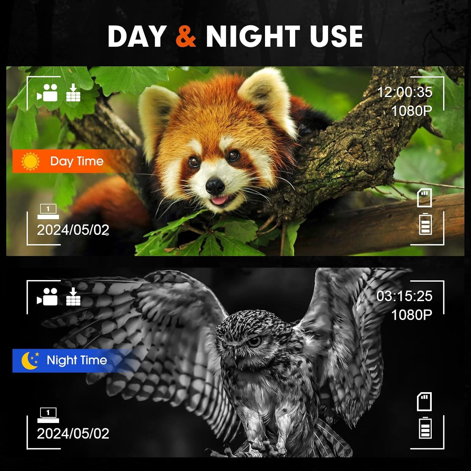 La imagen muestra un panda rojo durante el día y un búho por la noche. Ambos están en una vista de cámara, con marcas de fecha y hora.
