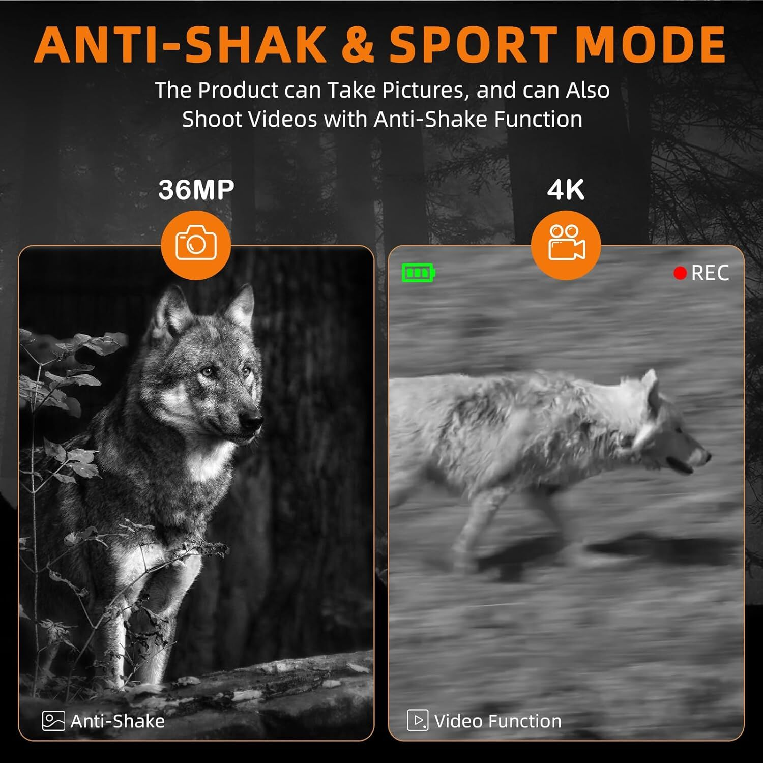La imagen compara los modos foto y vídeo. Uno muestra un lobo, el otro un lobo corriendo. El texto resalta funciones como anti-vibración y 4K.