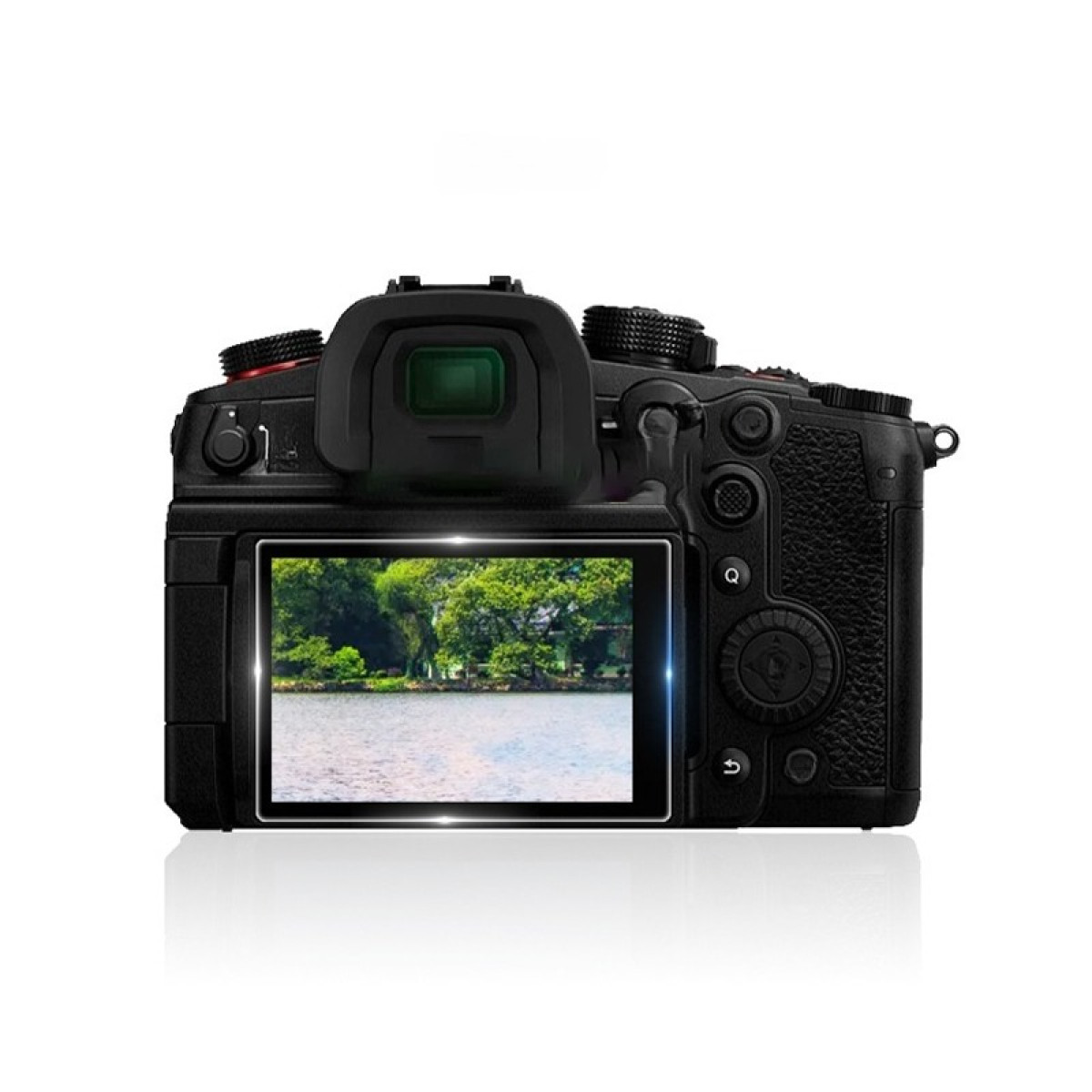 Vista posteriore di una fotocamera digitale nera. Lo schermo mostra un paesaggio con acqua, alberi e cielo. Il corpo ha pulsanti.