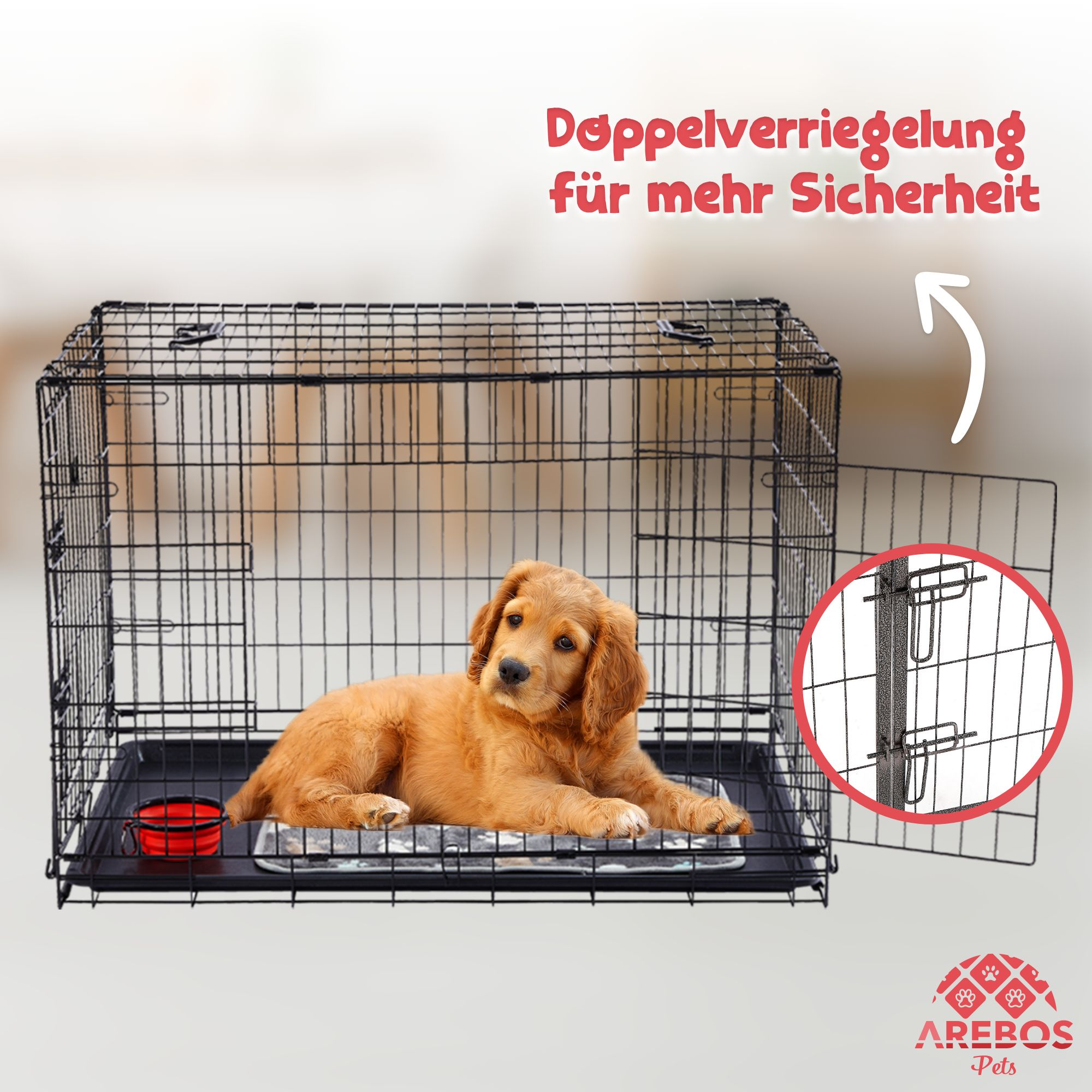Ein goldener Welpe liegt in einer schwarzen Metall-Hundebox. Eine rote Schüssel ist innen. Die offene Tür zeigt einen Doppelschloss.