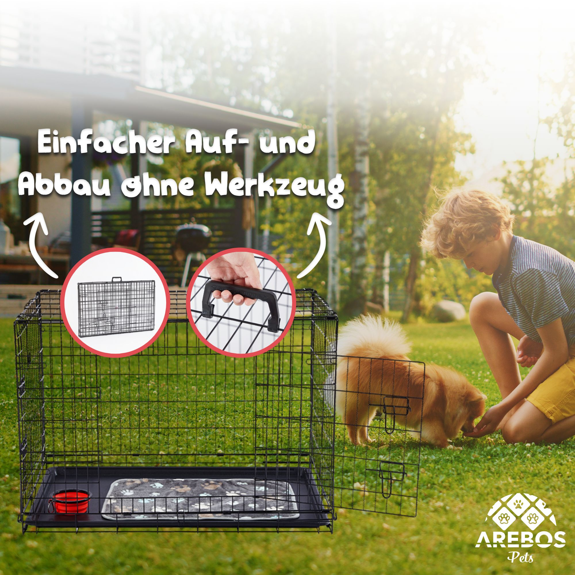 Ein Junge kniet neben einem Hundekäfig. Ein kleiner Hund frisst aus der Hand des Jungen. Der Käfig ist schwarz, der Hintergrund grün.