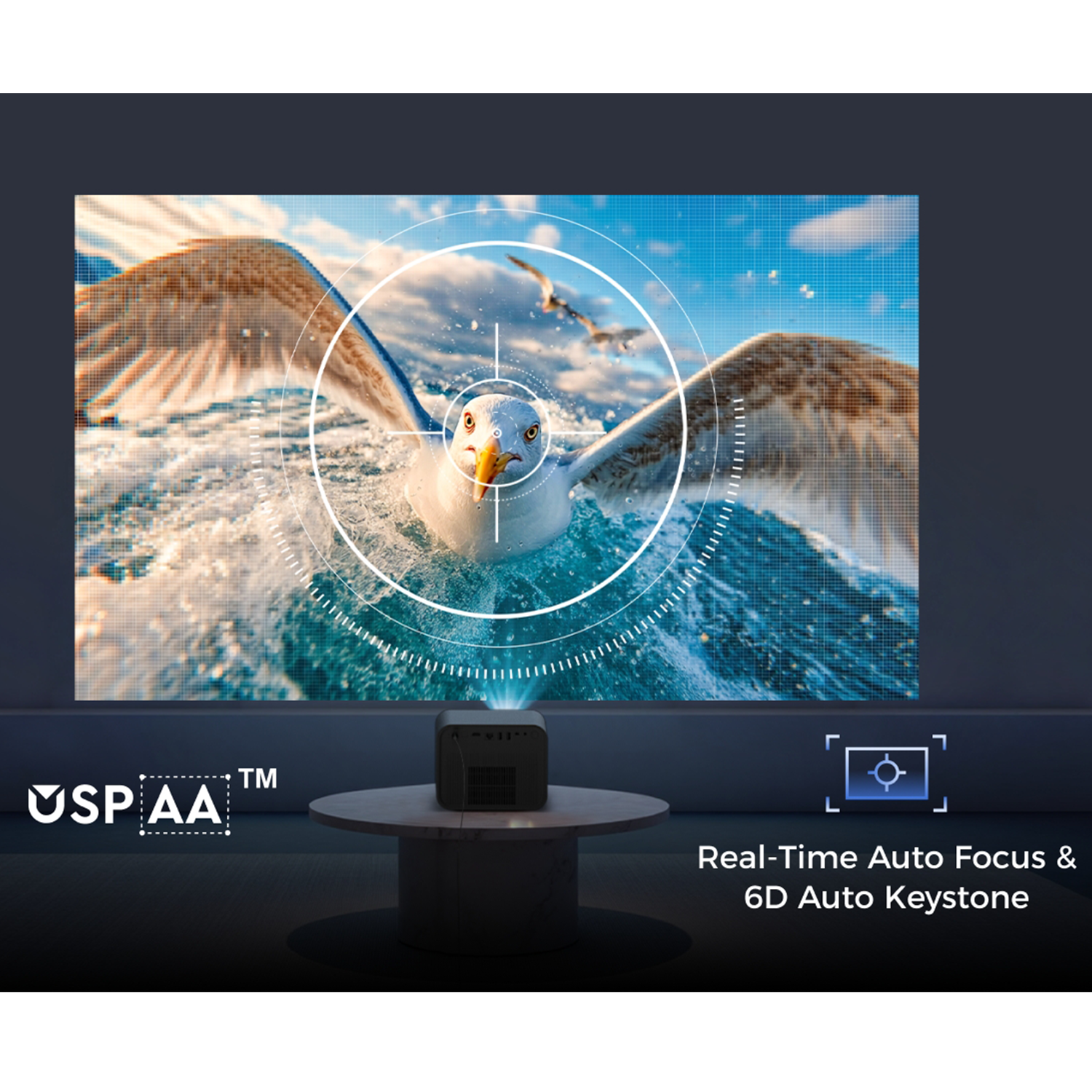 A projector projects a seagull image. A seagull is in the center of the image, with its wings open. The projector sits on a table.