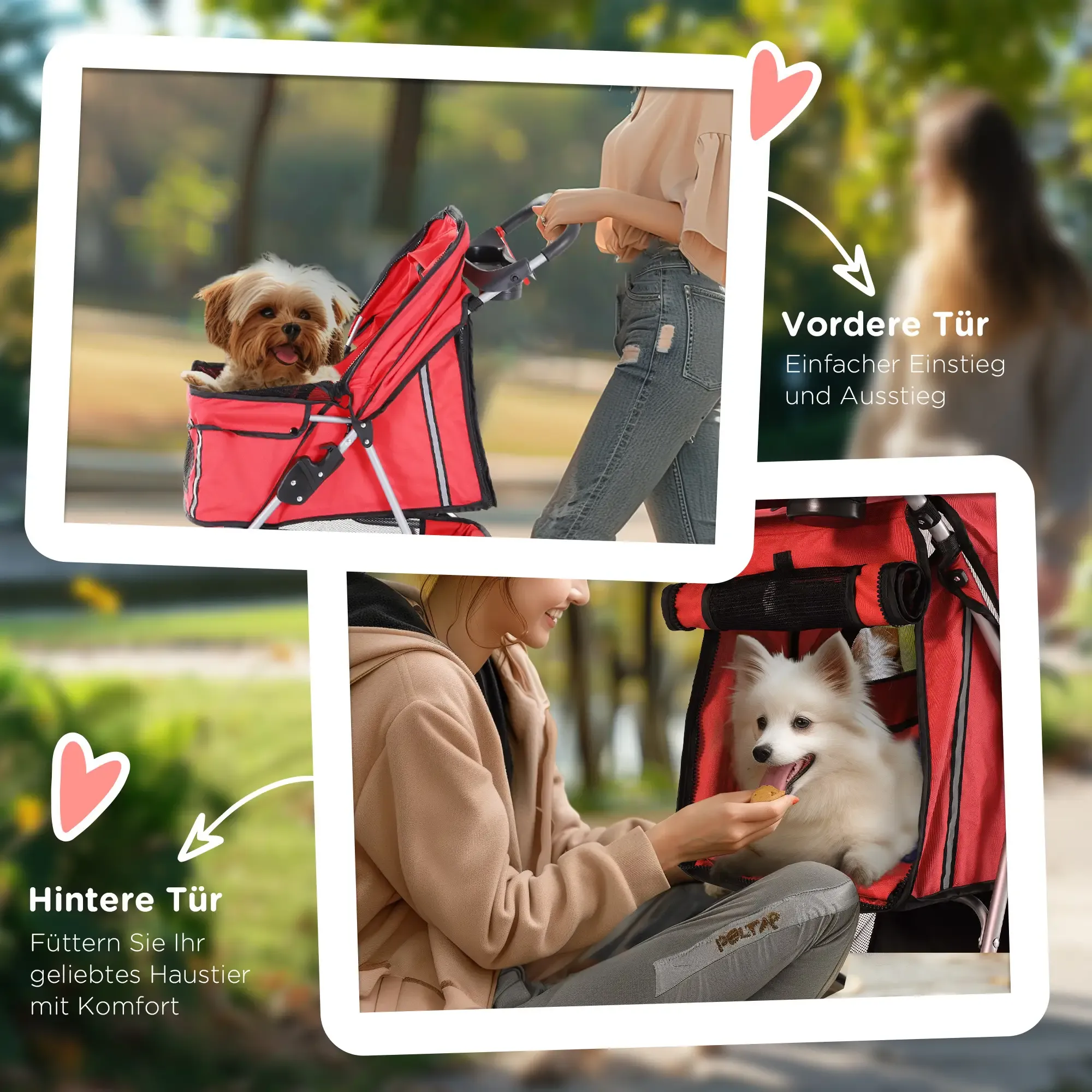 Zwei Hunde in roten Tierwagen. Einer wird geschoben. Der andere isst einen Leckerbissen. Eine Person füttert einen Hund im Kinderwagen.