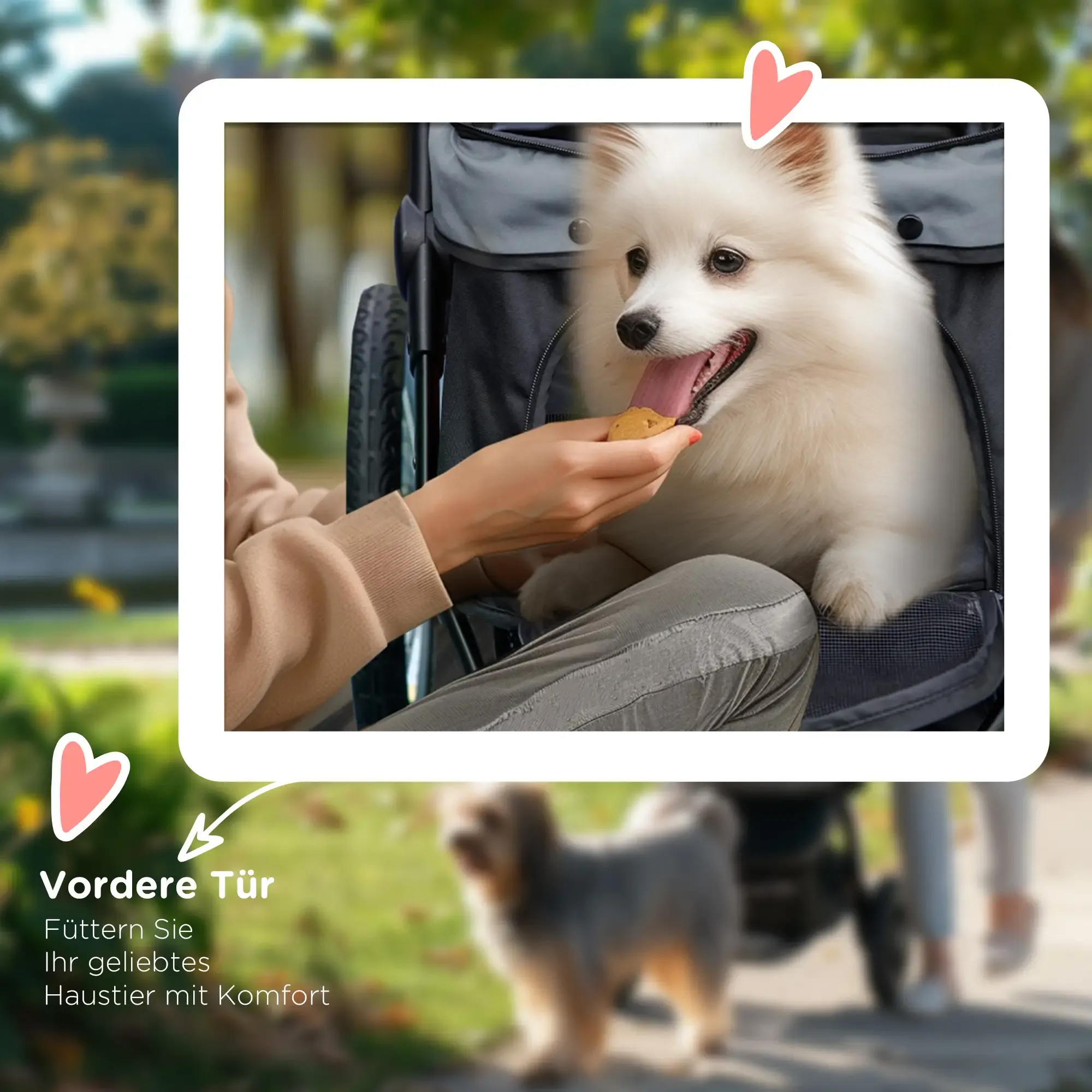Ein weißer Hund in einem Kinderwagen erhält ein Leckerli von der Hand einer Person. Verschwommener Hintergrund mit kleinem Hund und Parkkulisse.