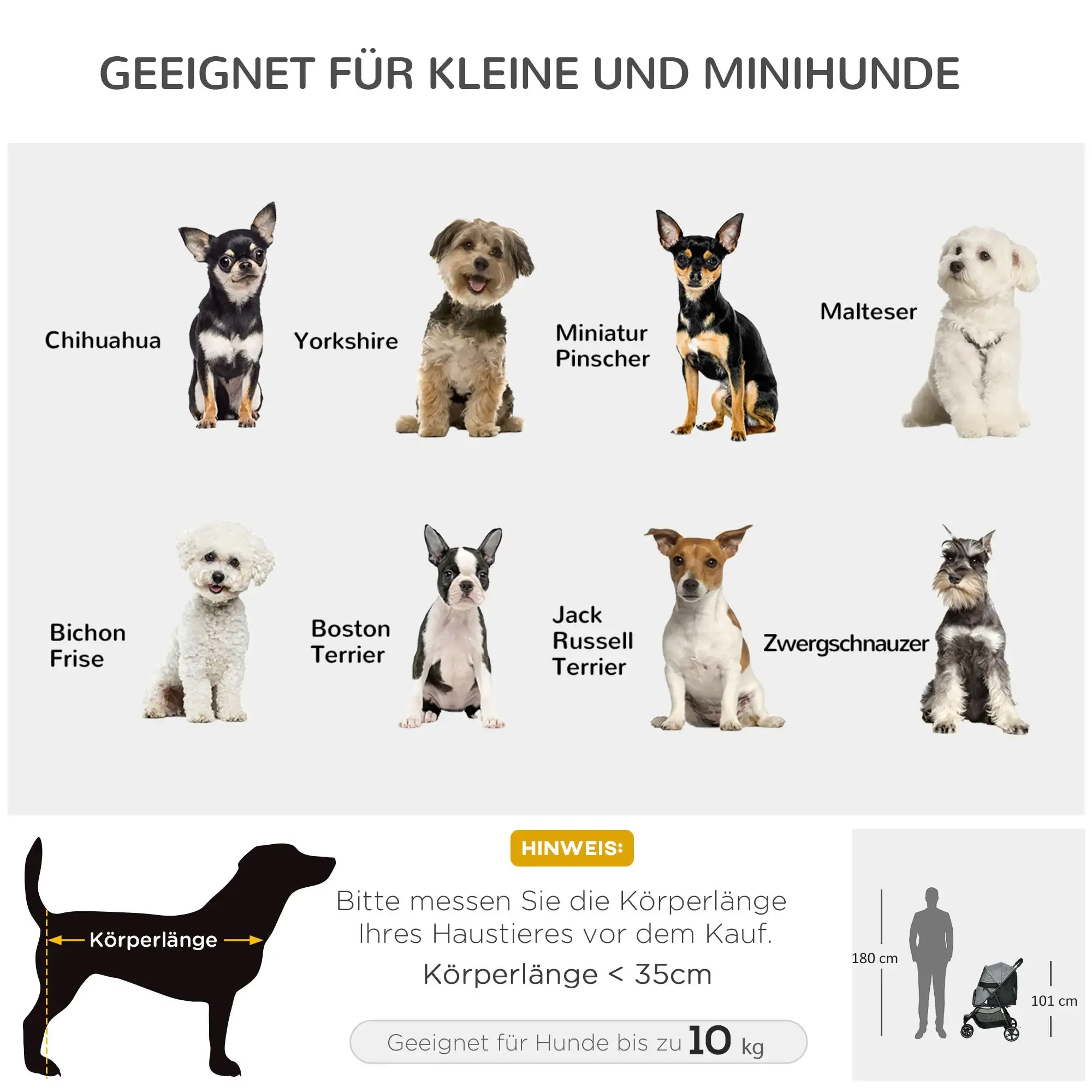 Das Bild zeigt acht Hunderassen, darunter Chihuahua, Yorkshire und Malteser. Text empfiehlt, vor dem Kauf die Körperlänge zu messen.