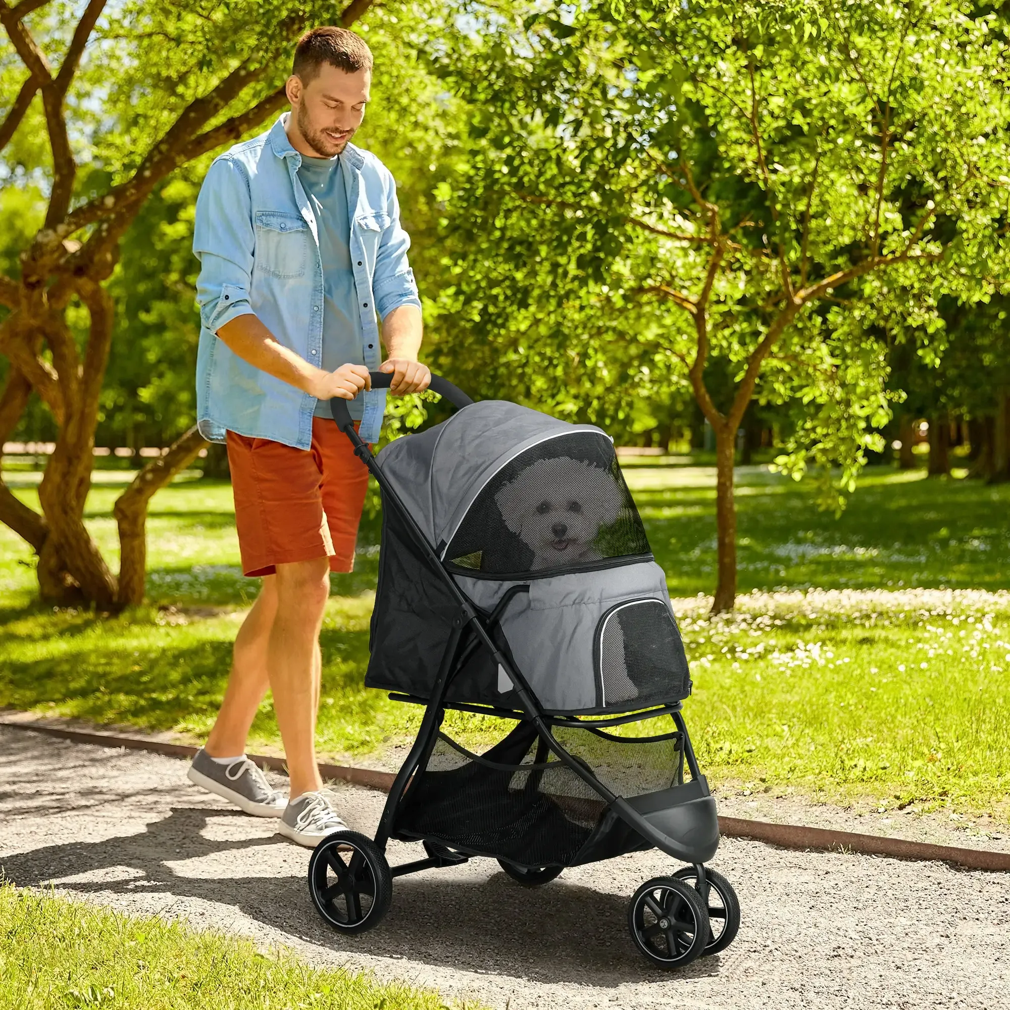 Ein Mann schiebt einen Kinderwagen mit einem Hund in einem Park. Der Mann trägt ein blaues Hemd und rote Shorts. Bäume sind im Hintergrund.
