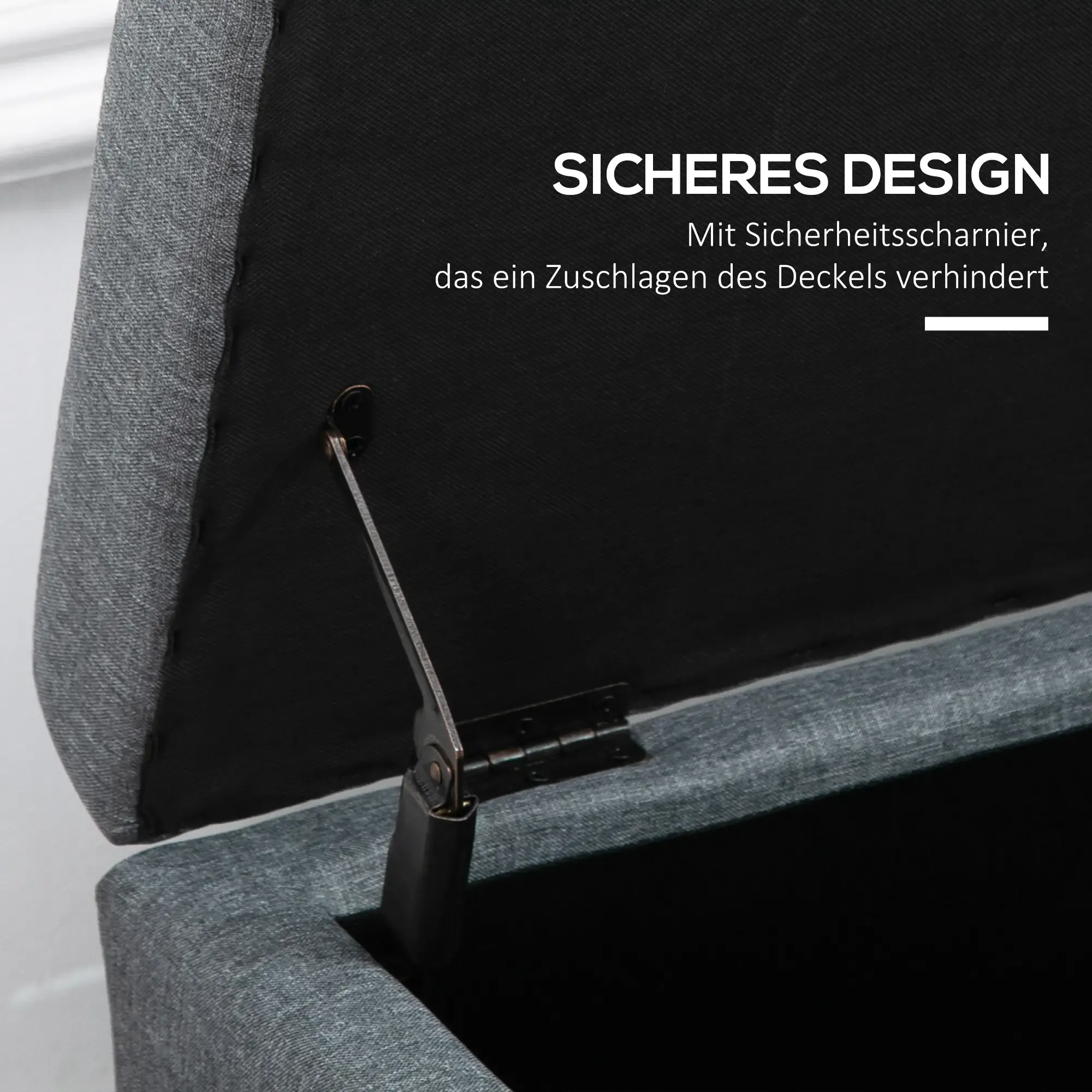Geöffnete graue Aufbewahrungstruhe mit Sicherheitsverschluss. Der Deckel ist geöffnet, zeigt das Innere und Text 'Sicheres Design'.