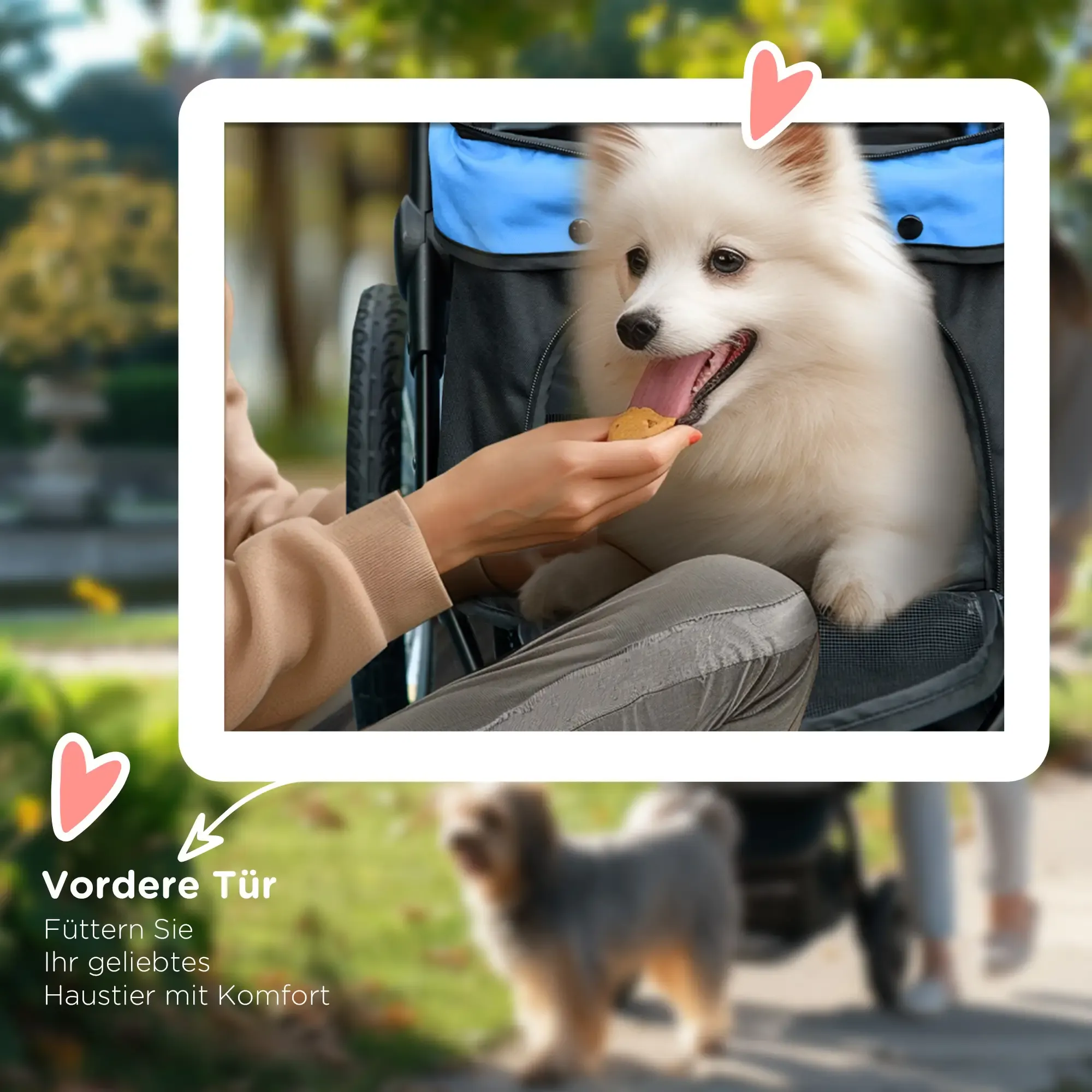 Ein weißer Hund in einem Kinderwagen wird von einer Person mit einem Leckerli gefüttert. Ein anderer Hund ist im Hintergrund unscharf.