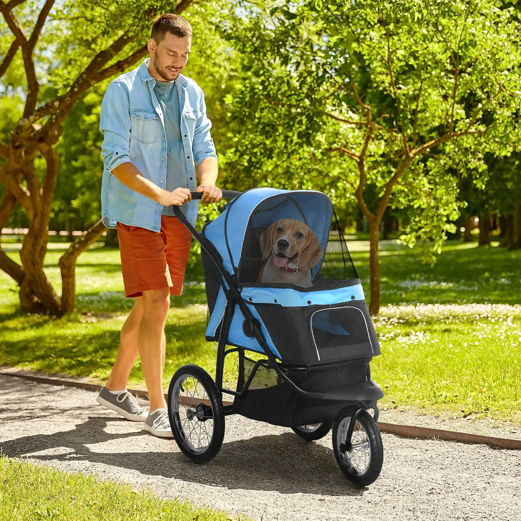 Ein Mann schiebt einen blauen Haustier-Kinderwagen mit einem Hund darin. Der Hund ist ein Beagle. Sie sind in einem Park mit Bäumen.
