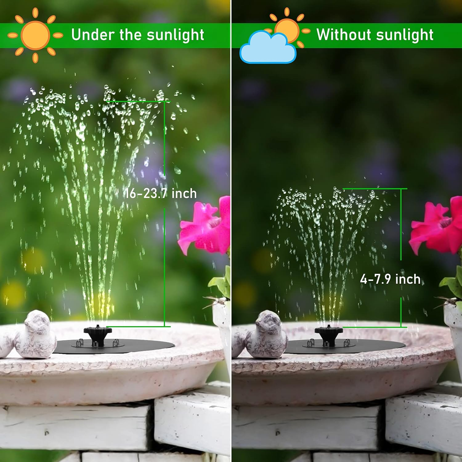 Ein Springbrunnen in einem Vogelbad wird mit und ohne Sonnenlicht gezeigt. Er hat rosafarbene Blumen um sich herum und eine Vogelstatue.