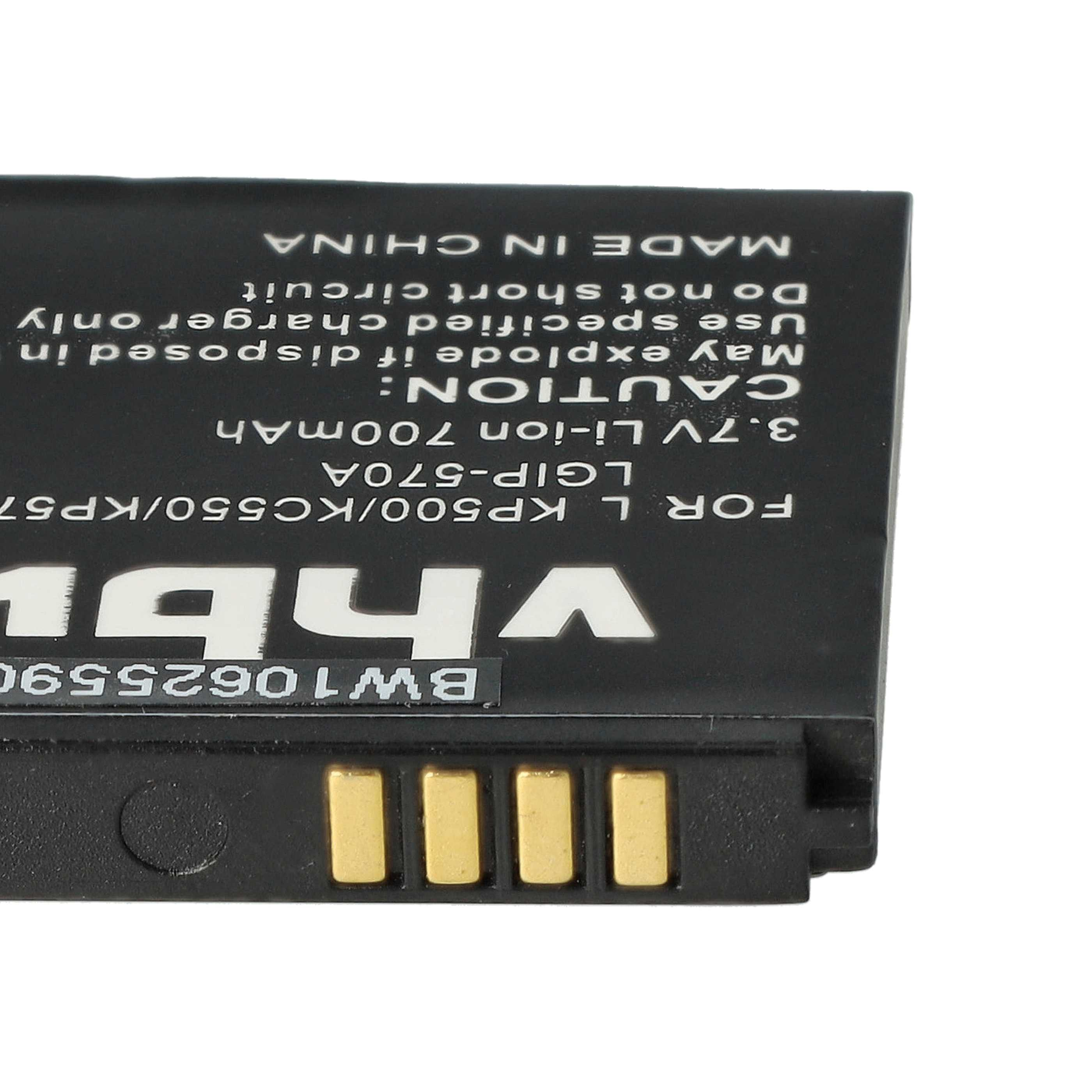 Eine schwarze Batterie mit Goldkontakten zeigt ihr Etikett mit Spannung, Kapazität und Warnhinweisen.