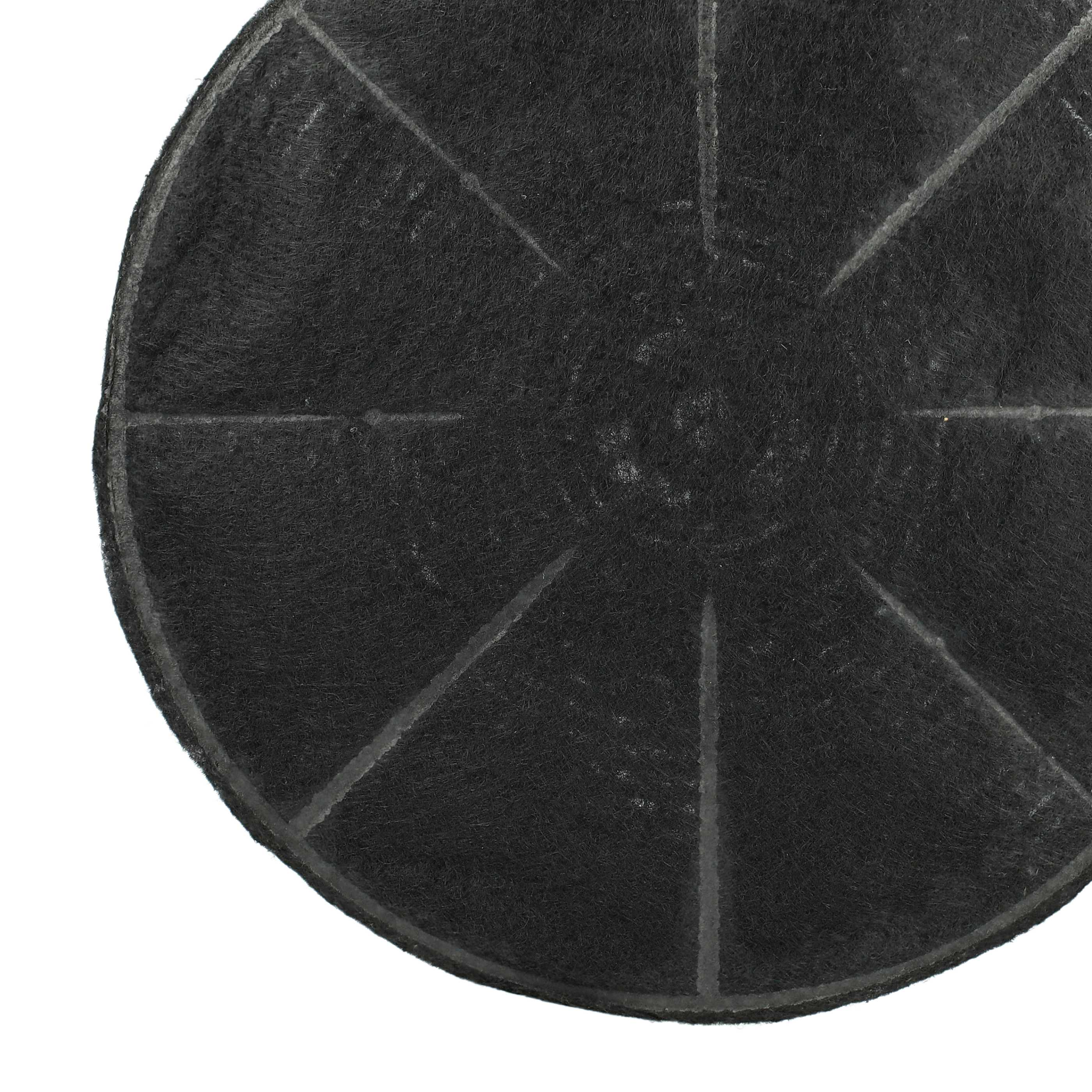 Ein kreisförmiger, schwarzer Filter mit radialen Linien und weißem Hintergrund. Der Filter dient wahrscheinlich der Luftreinigung.