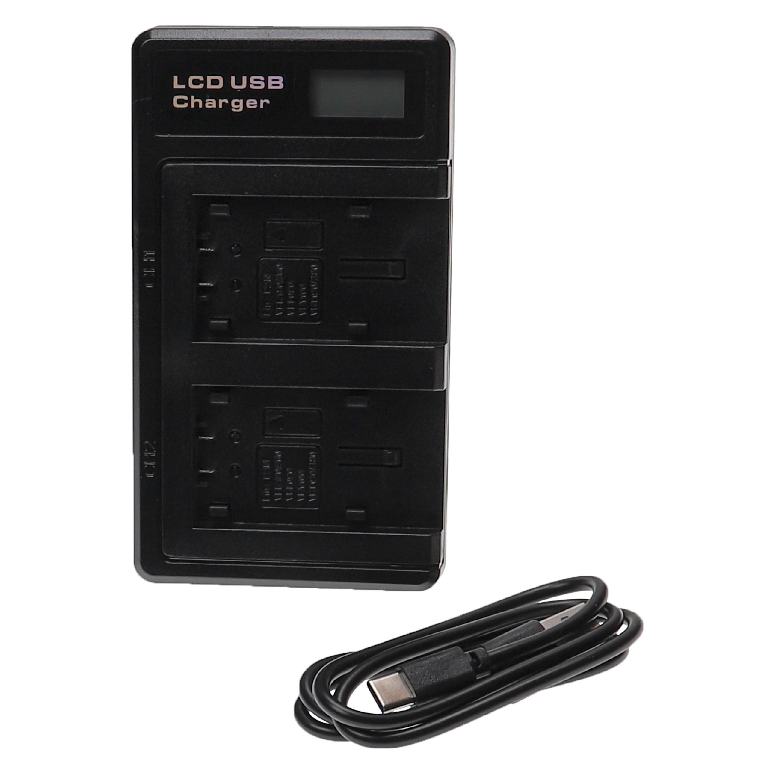 Schwarzes LCD-USB-Ladegerät mit zwei Ladeschlitzen und einem USB-C-Kabel. Das Ladegerät hat einen Bildschirm und Etiketten.