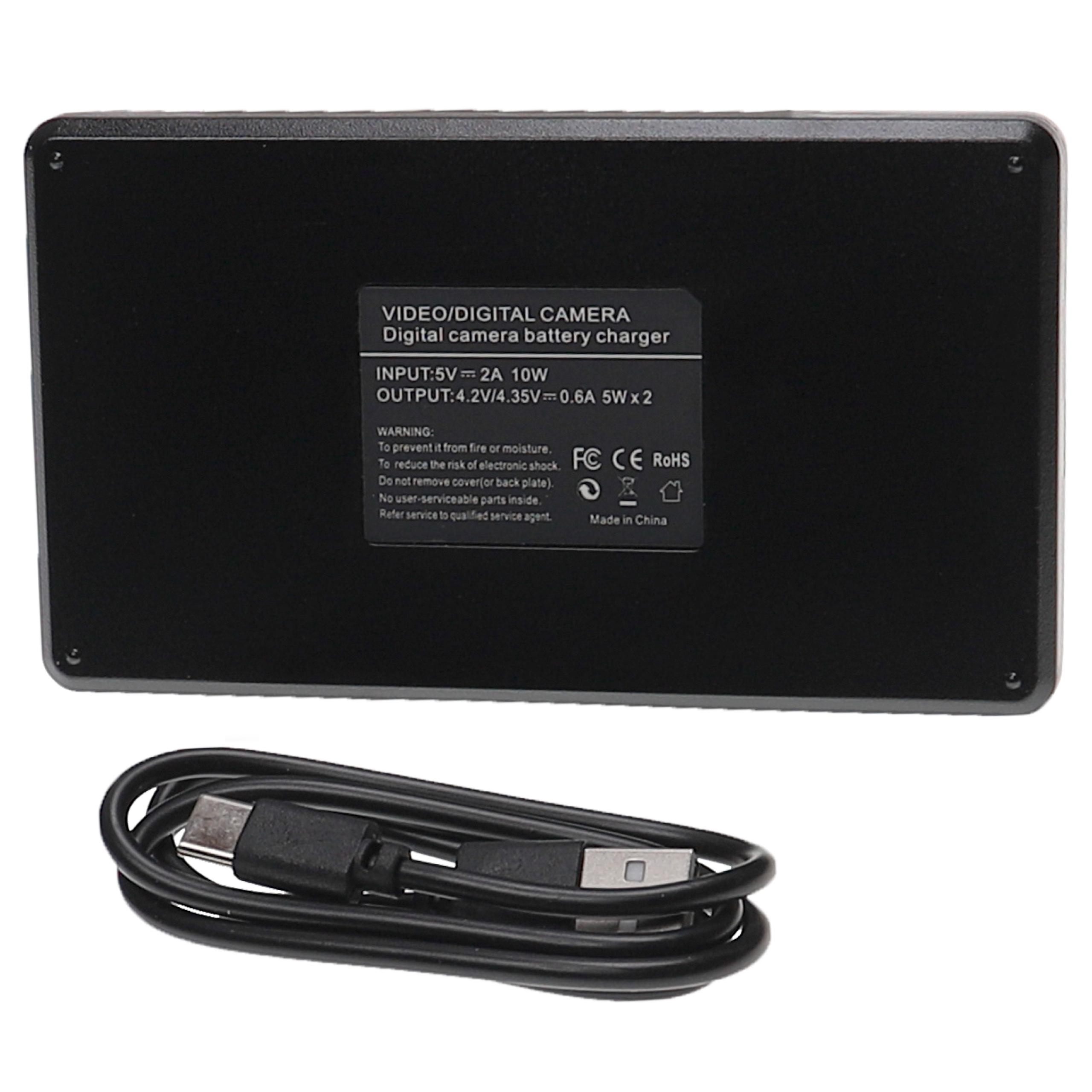 Schwarzes Kamera-Akkuladegerät mit USB-Kabel. Text auf dem Ladegerät: INPUT: 5V=2A 10W, OUTPUT: 4.2V/4.35V=0.6A 5W x 2.