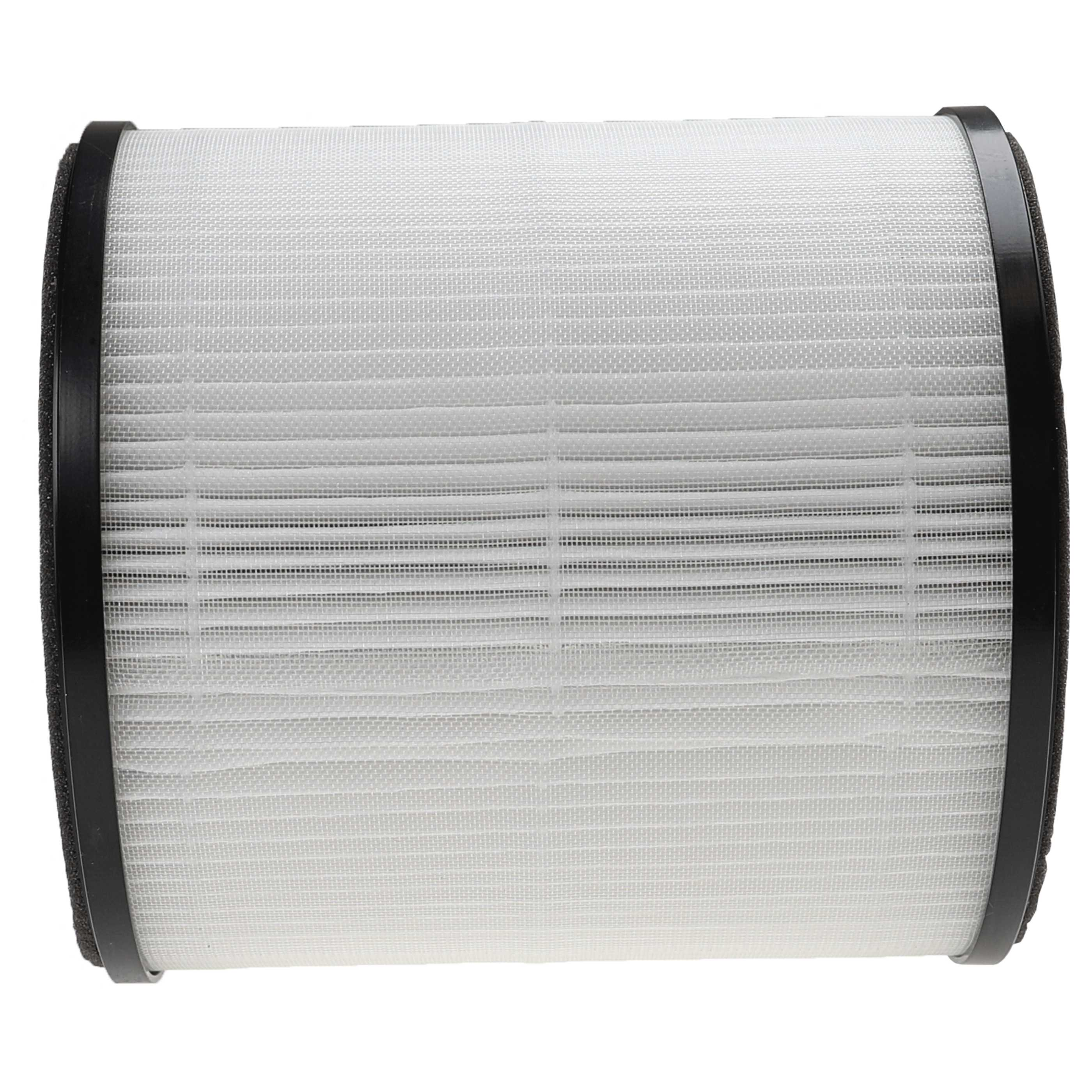 Ein zylindrischer Luftfilter mit einem weißen Netzwerkkern und schwarzer Umrandung. Der Filter hat eine gitterartige Textur.