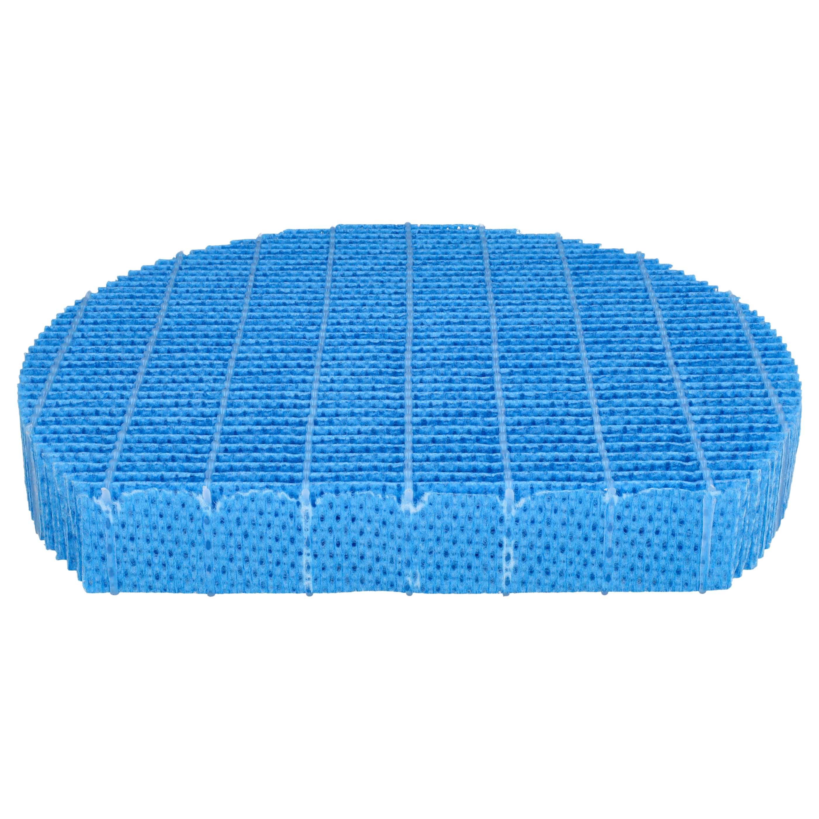 Ein blaues, poröses, oval geformtes Filter. Es hat ein Rastermuster mit vertikalen und horizontalen Linien. Weißer Hintergrund.