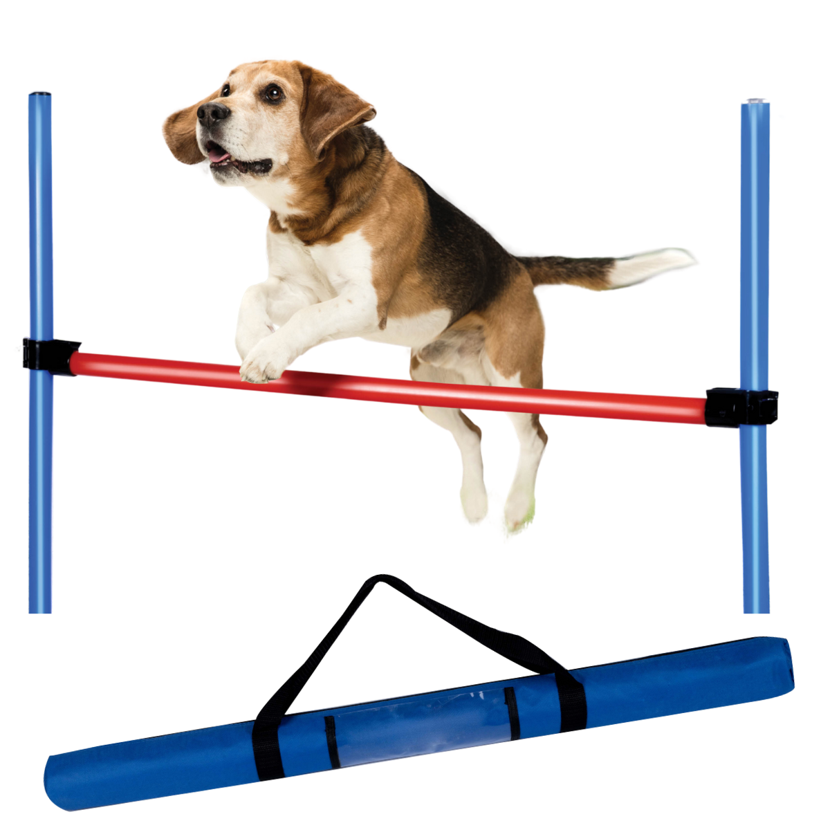 Un beagle salta sopra una barra rossa, pali blu su entrambi i lati. In basso c'è una custodia blu.