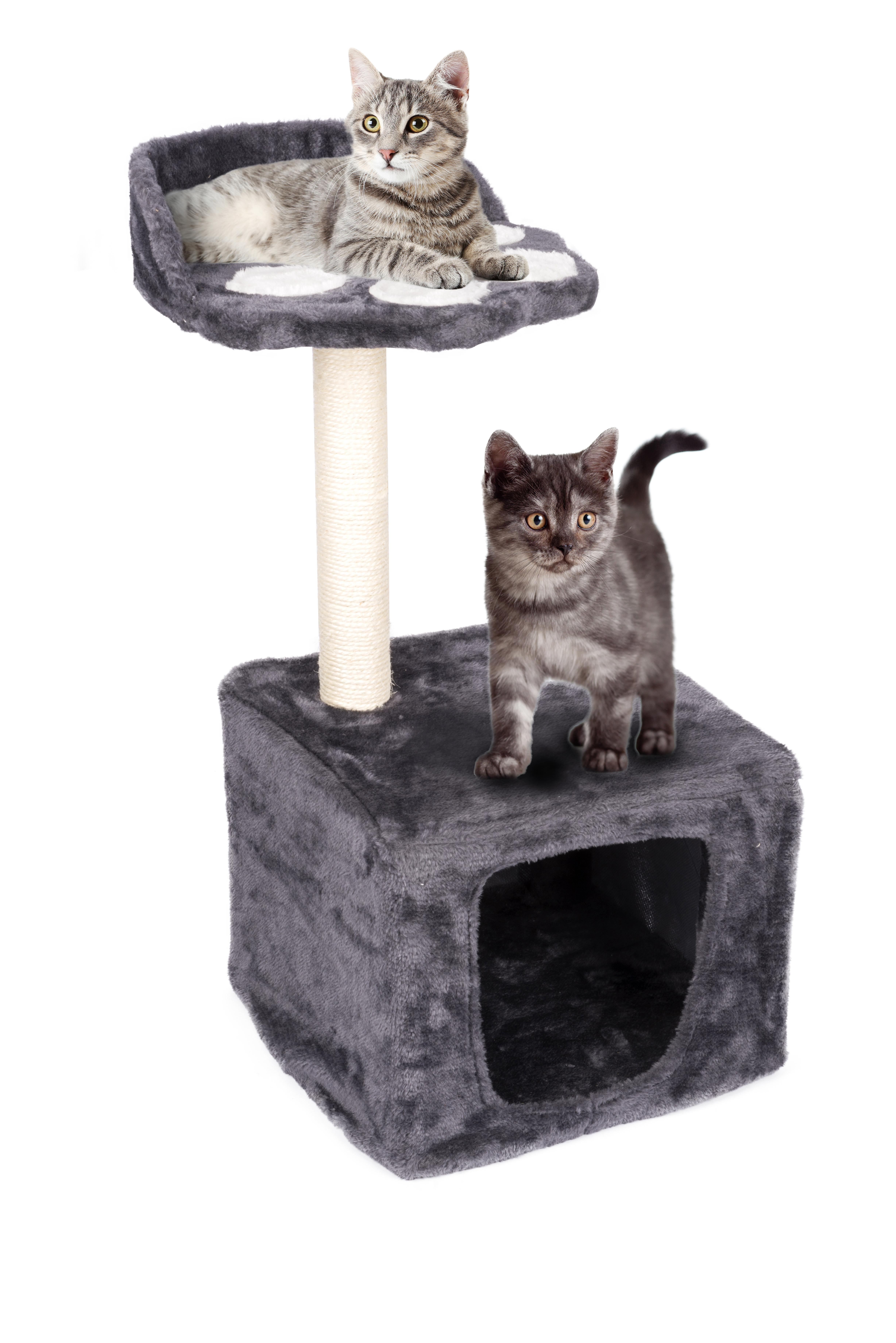 Two grey kittens on a cat tree. One on top, one on a lower level. White background.