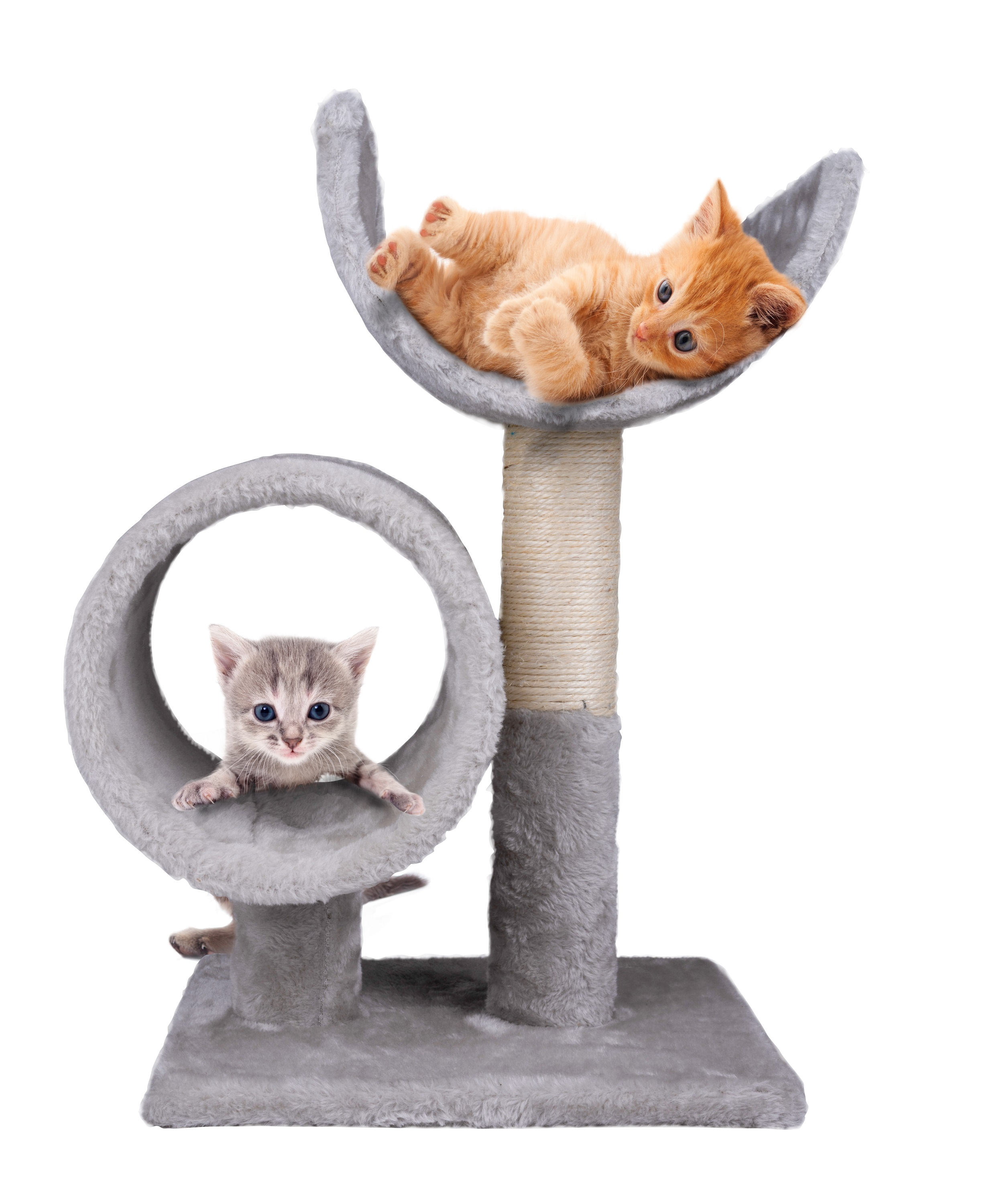Two kittens on a cat tree. One orange kitten lies in the top bed, the other gray kitten peeks from the middle.