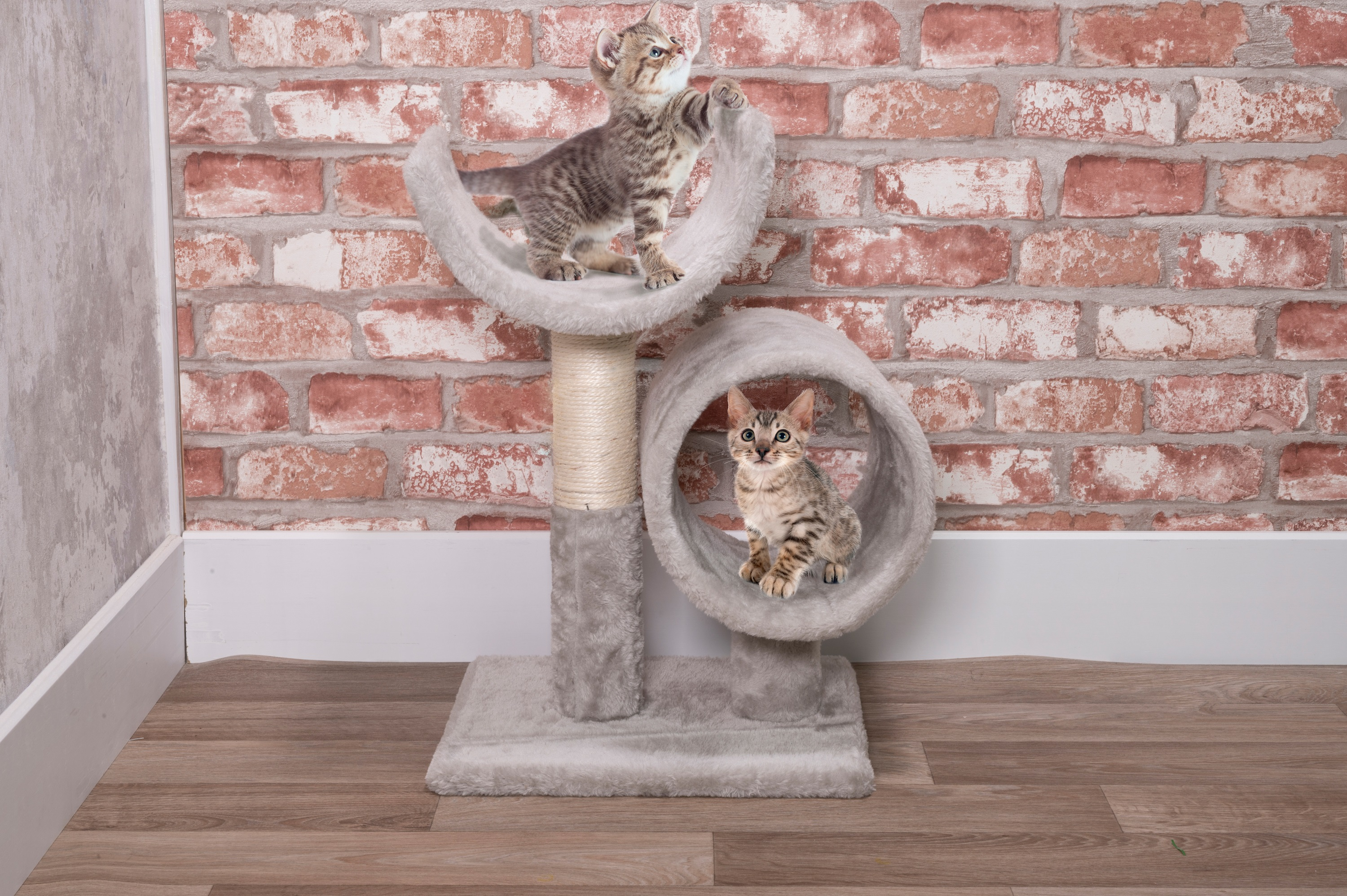 Two kittens on a cat tree in front of a brick wall. One kitten is reaching up, the other is inside the tunnel.