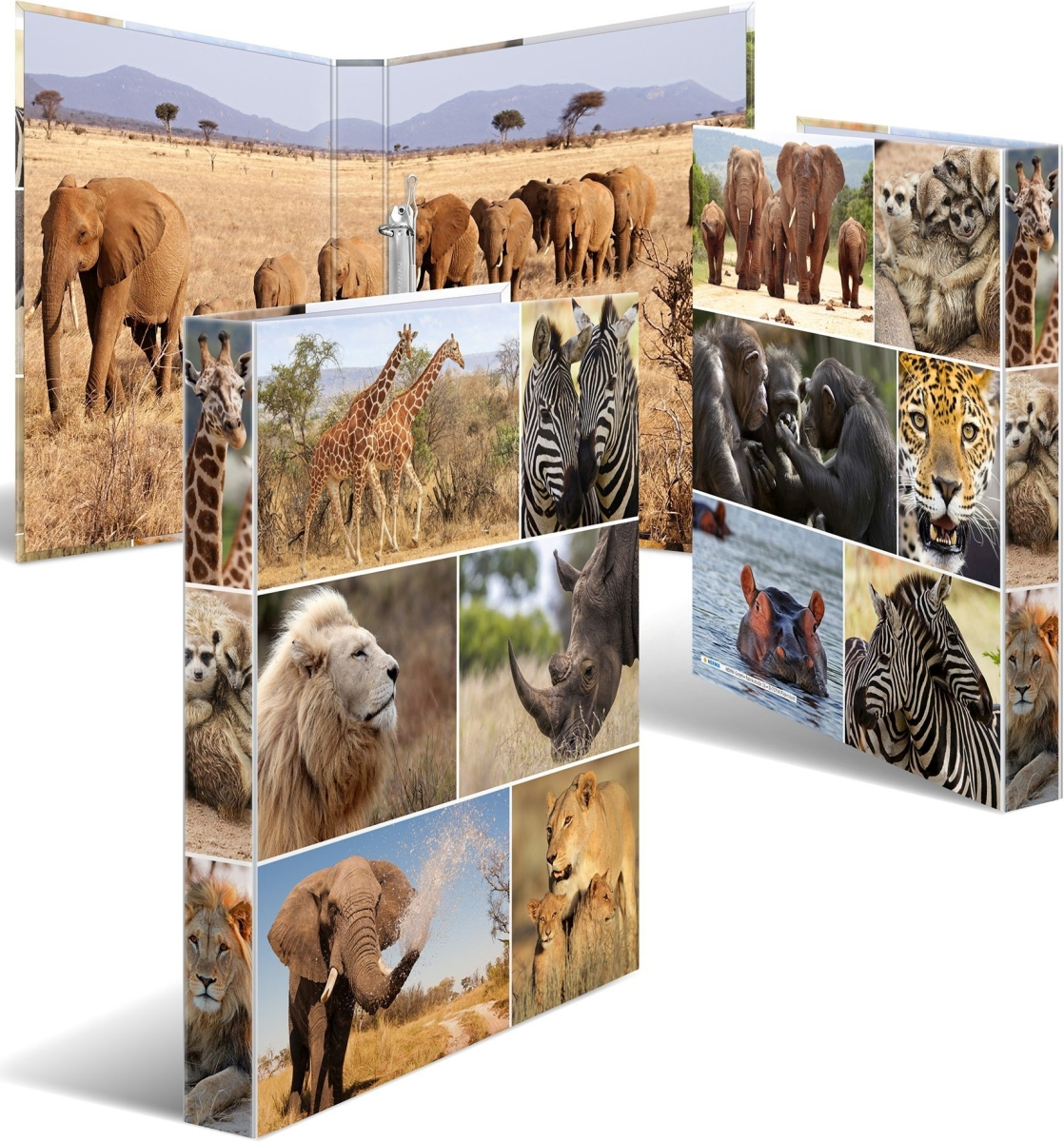 Kolaż afrykańskiej dzikiej przyrody: słonie, żyrafy, zebry, lwy, nosorożce, gepardy, hipopotamy i szympansy, w ich naturalnych siedliskach.