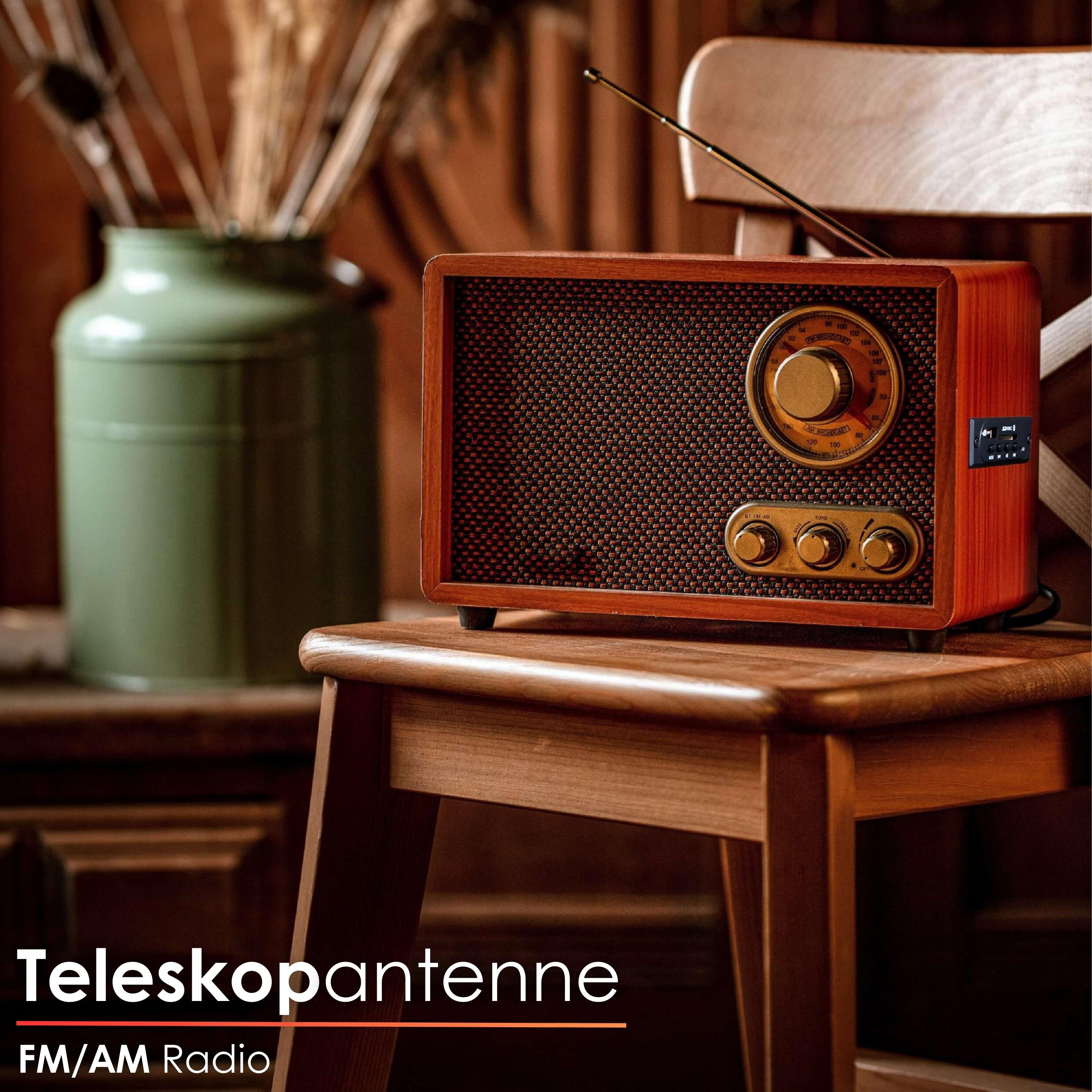 Ein Holzradio mit Teleskopantenne steht auf einem Holzstuhl. Im Hintergrund steht eine Vase mit Pflanzen.