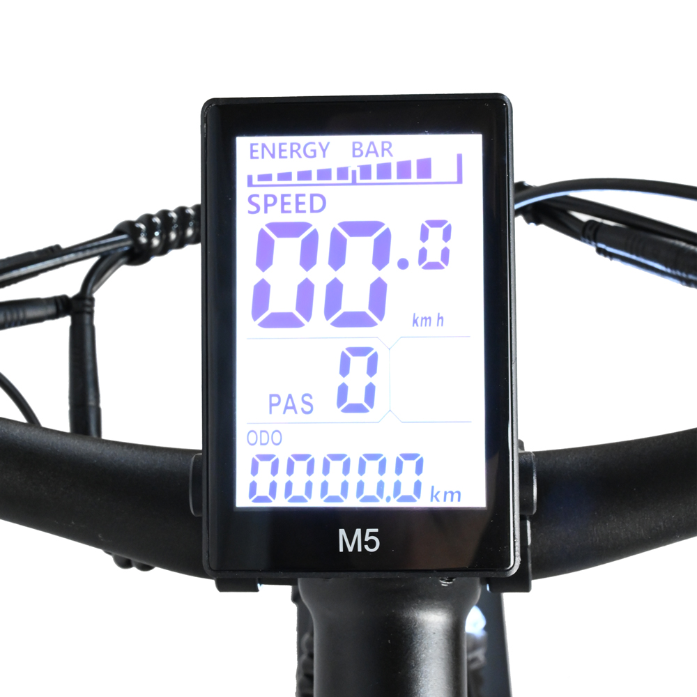 Pantalla de e-bike que muestra la velocidad a 00,0 km/h, PAS en 0 y ODO en 00000,0 km. La barra de energía está parcialmente llena.