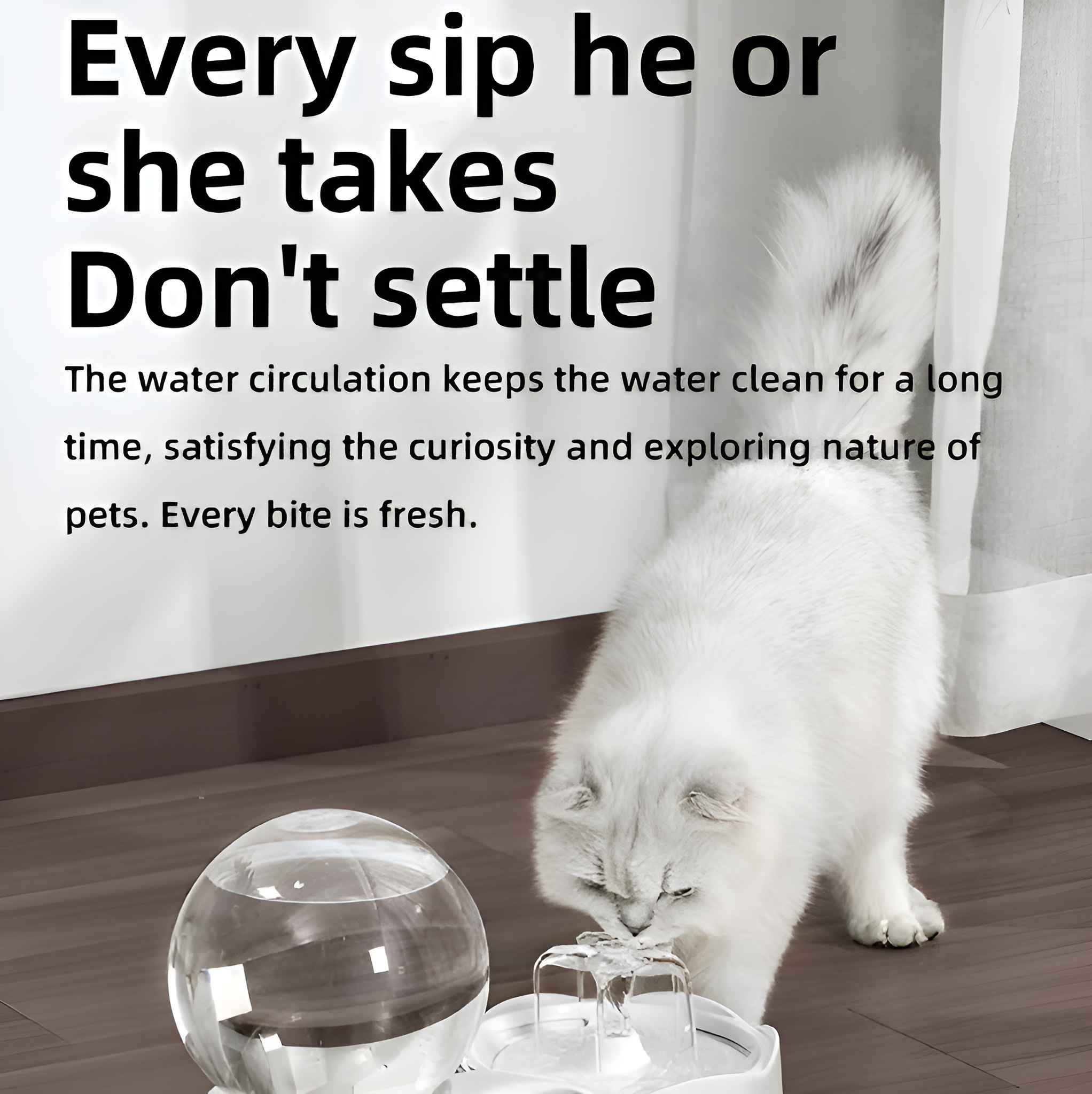 Eine weiße Katze trinkt aus einem Wasserbrunnen. Ein klarer, kugelförmiger Wasserbehälter befindet sich im Hintergrund. Text ist überlagert.