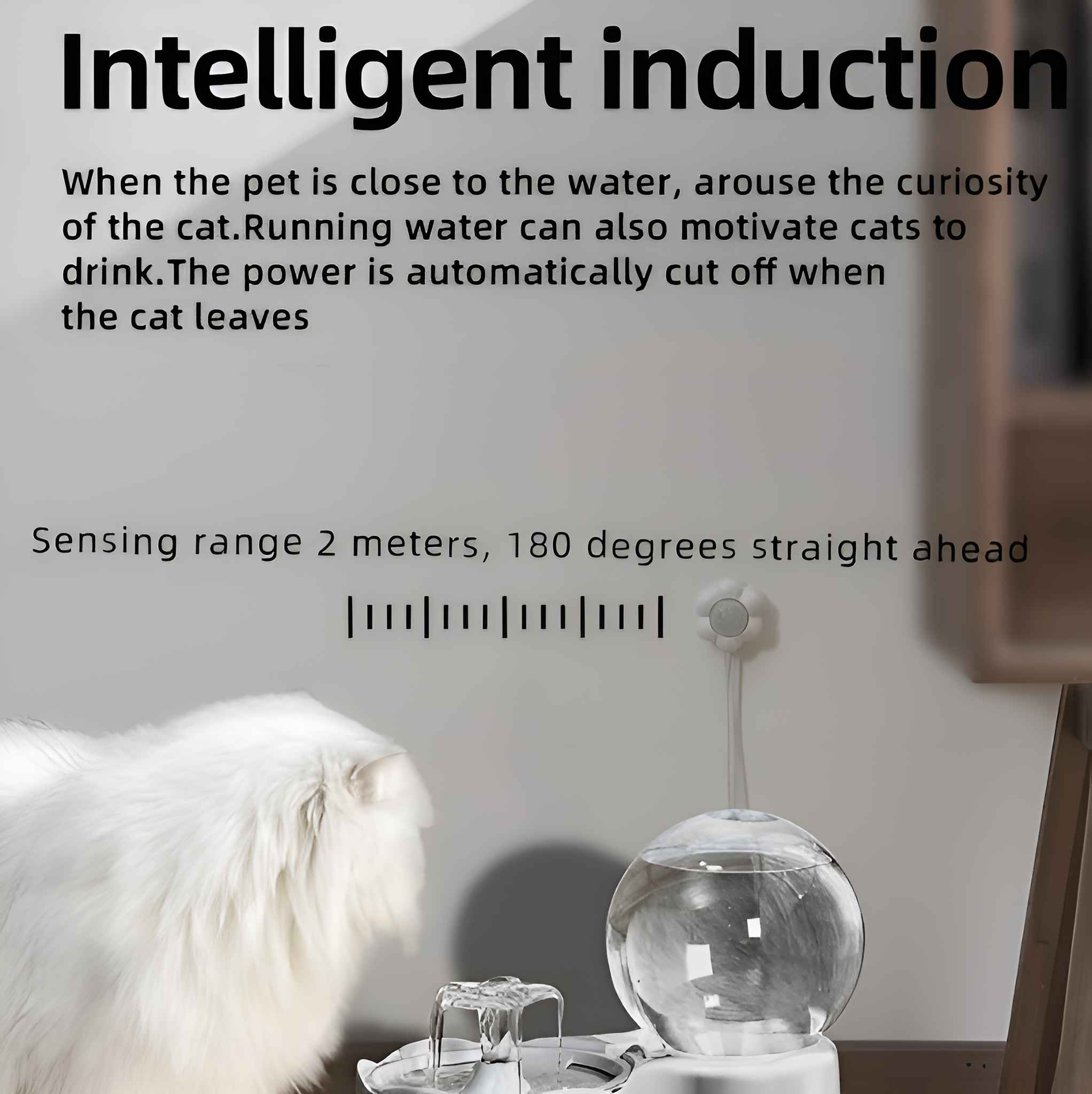 Eine weiße Katze in der Nähe eines Wasserbrunnens. Der Text lautet 'Intelligente Induktion'. Der Brunnen hat eine klare Kugel.
