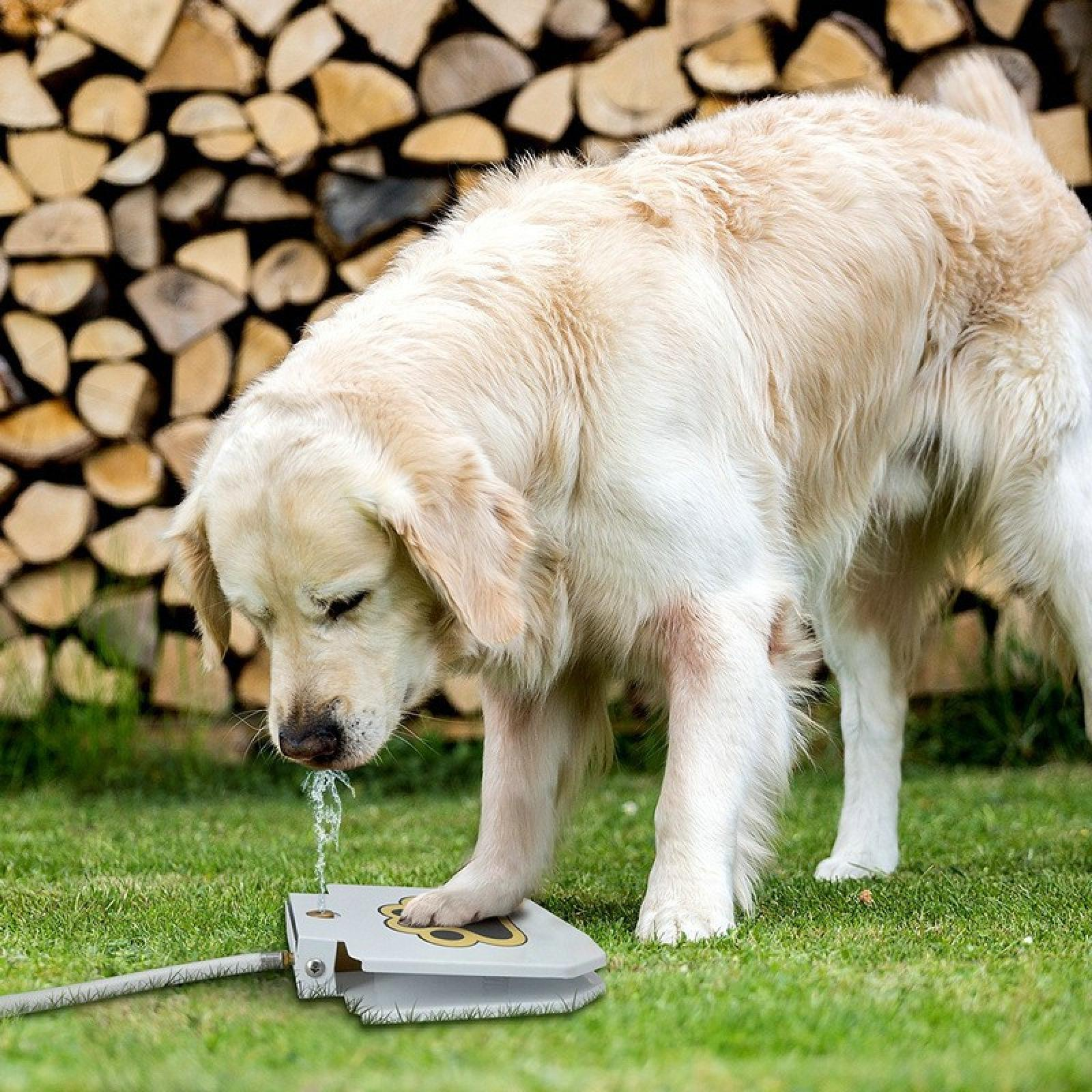 Golden Retriever trinkt Wasser aus einem pfotenförmigen Wasserbrunnen auf Gras, mit einem Holzhintergrund.