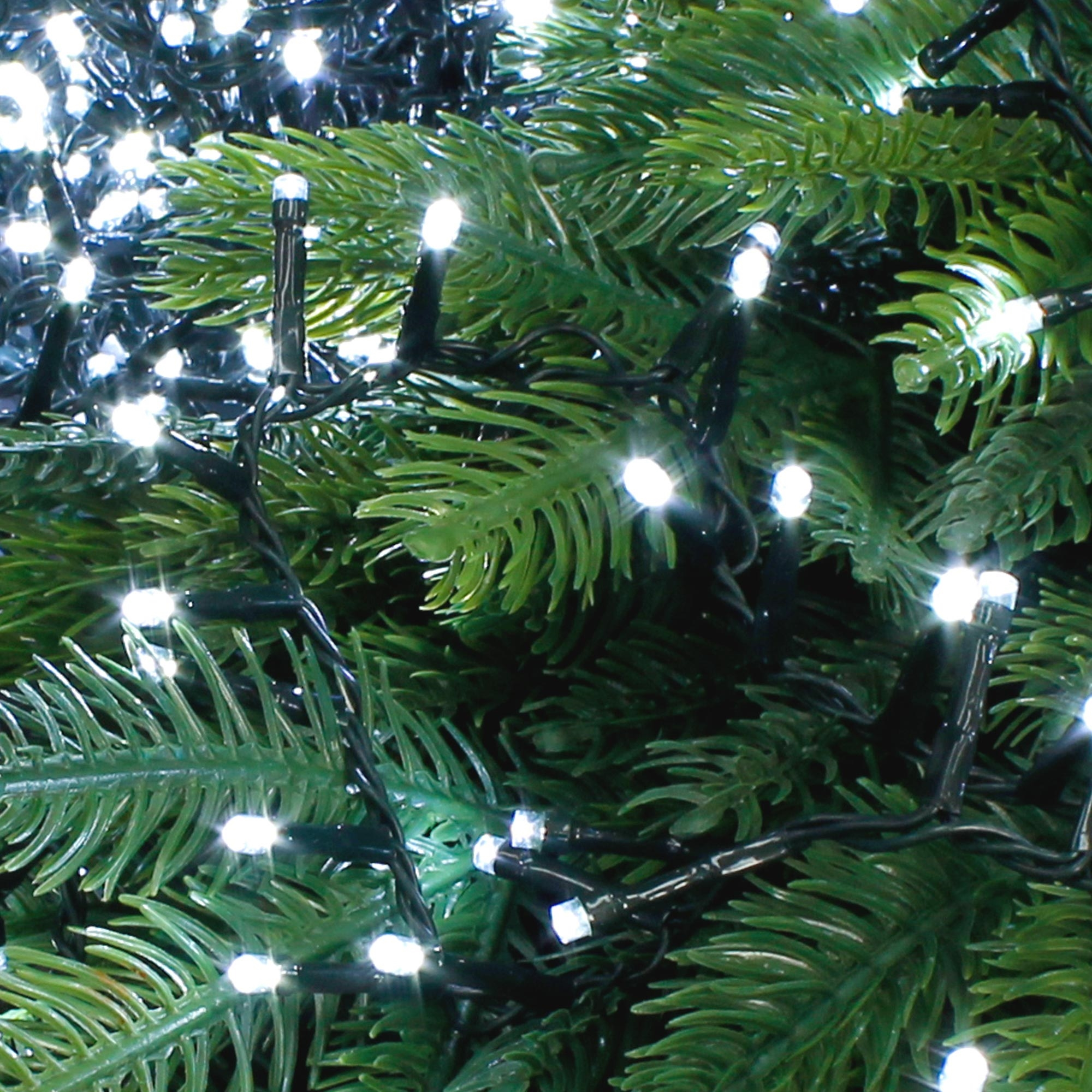 Nahaufnahme von grünen Weihnachtsbaumzweigen mit vielen kleinen, hellweißen LED-Lichtern.
