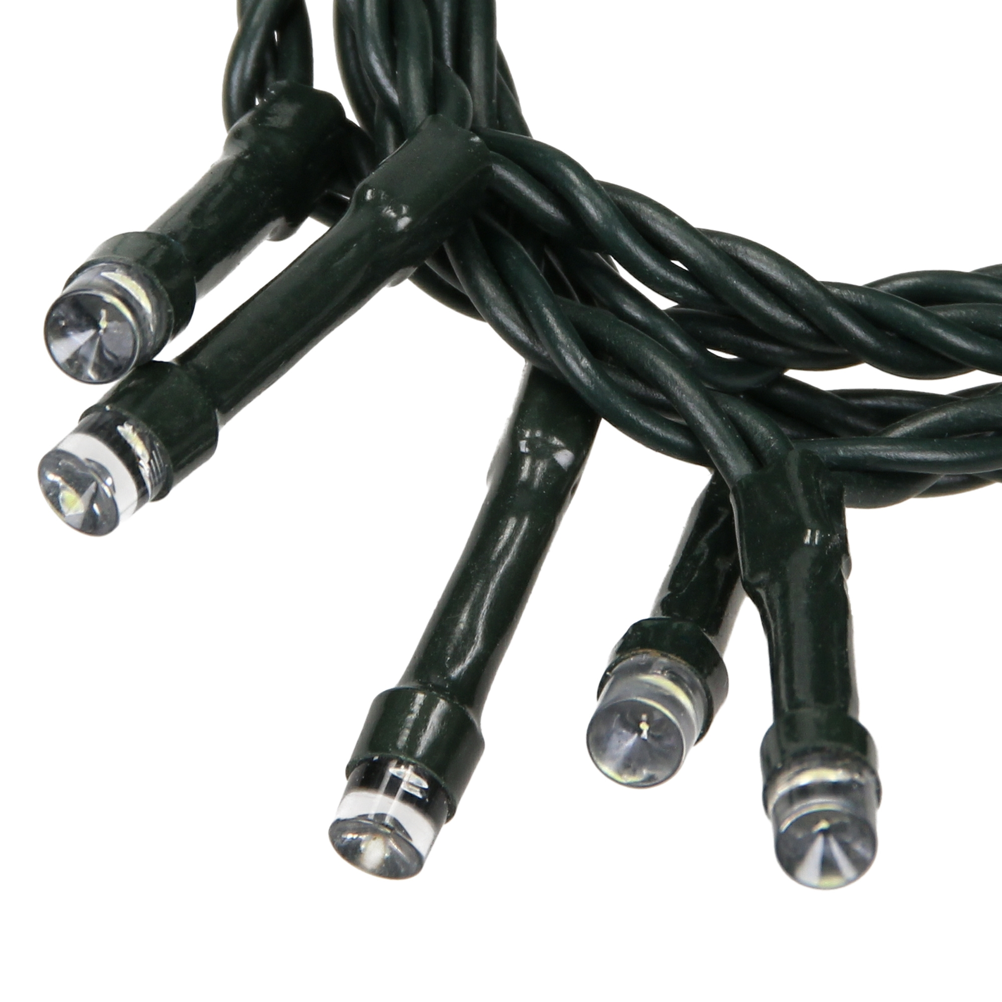 Nahaufnahme von grünen Lichterketten mit klaren, kleinen LED-Glühbirnen. Die Drähte sind dunkelgrün vor weißem Hintergrund.