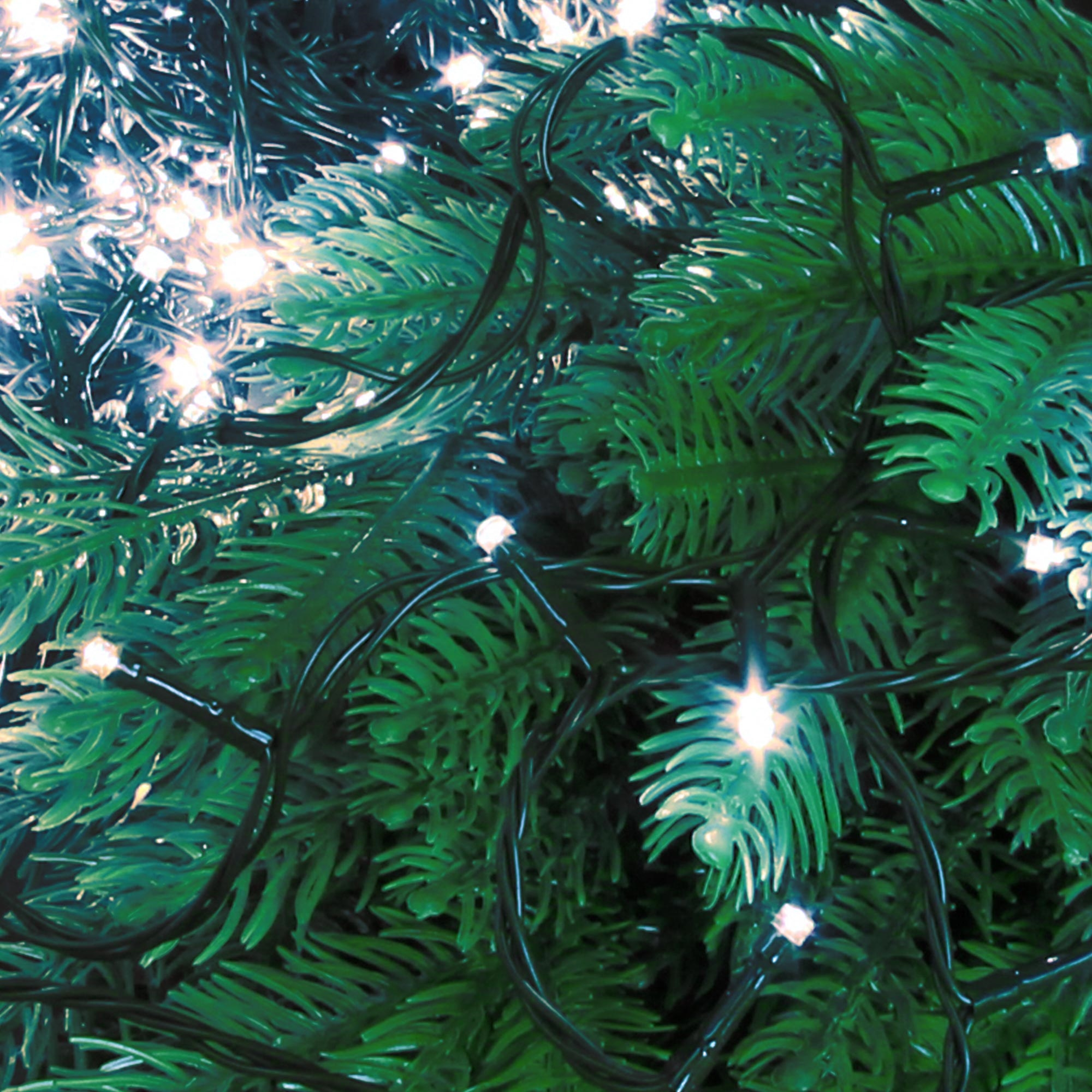 Nahaufnahme eines Weihnachtsbaums mit grünen Nadeln und Lichterketten. Die Lichter sind klein, weiß und gleichmäßig verteilt.