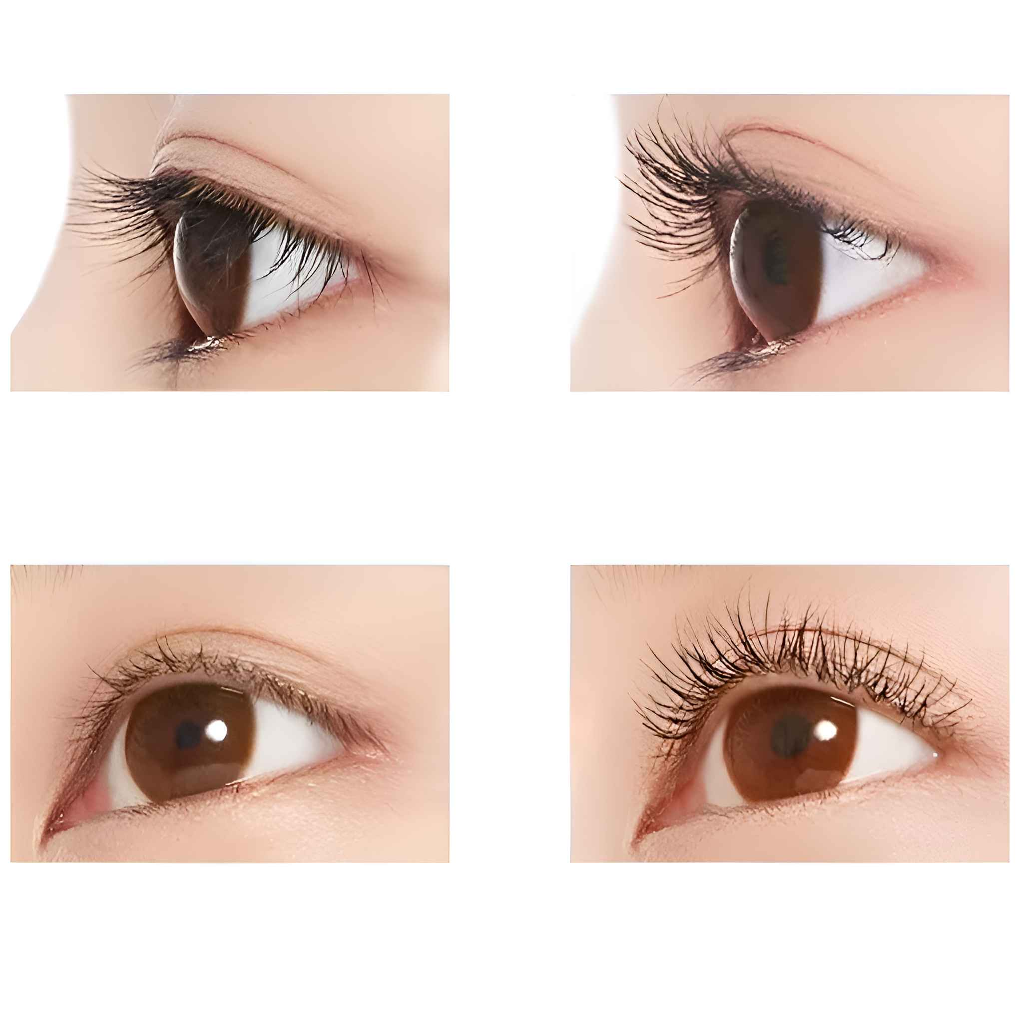 Vier Nahaufnahmen von Augen. Jedes zeigt ein braunes Auge mit unterschiedlichem Mascara-Auftrag. Der Hautton ist hell.