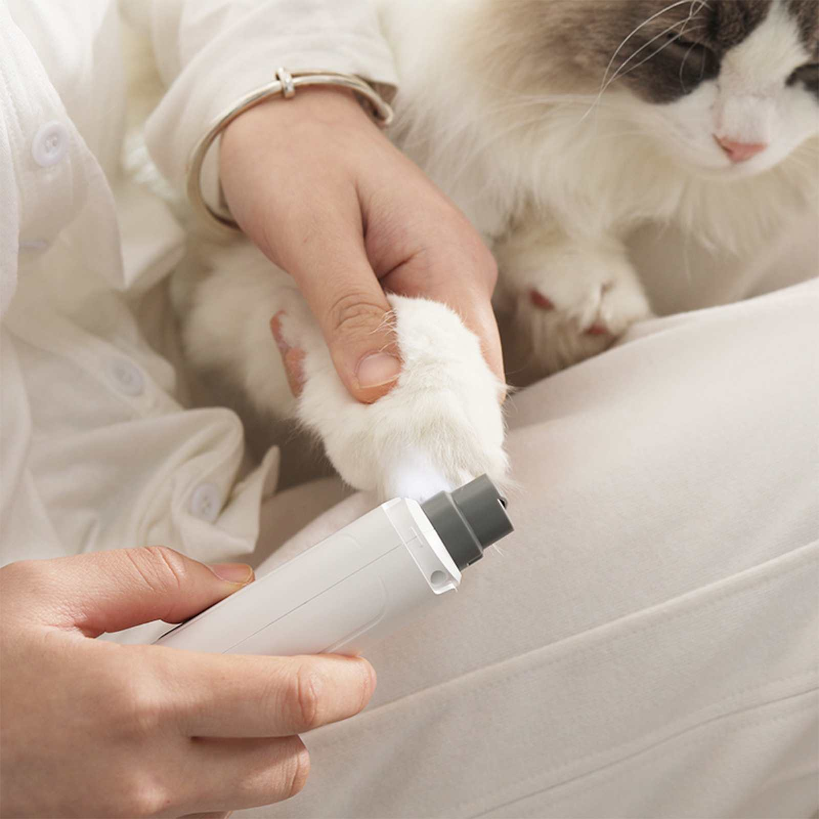 Eine Person schneidet die Krallen einer Katze mit einem Nagelknipser. Die Katze ist hell mit braunen Flecken. Die Person trägt Weiß.