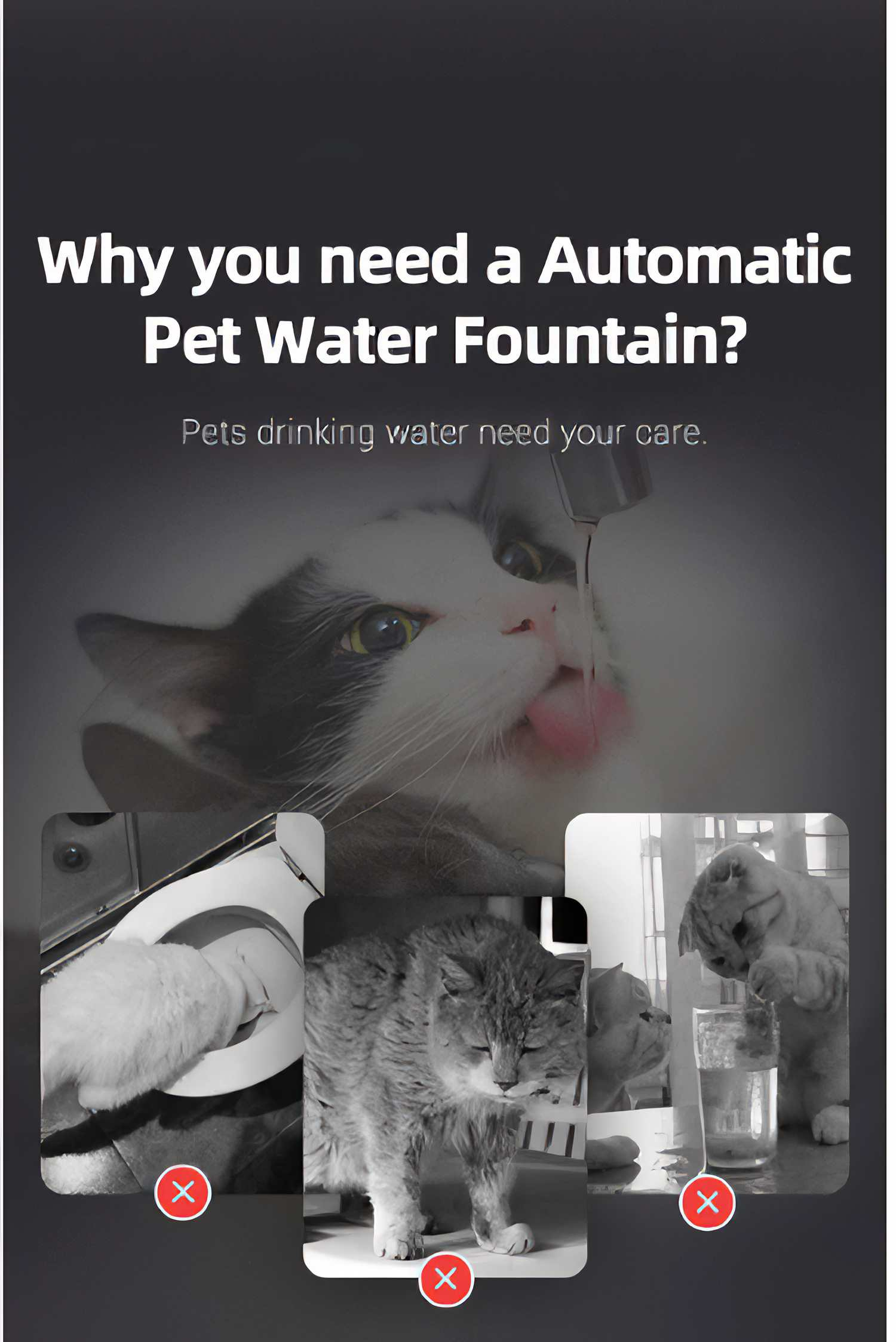 Das Bild zeigt eine Katze, die Wasser aus einem Brunnen trinkt. Es zeigt auch drei Bilder von Katzen, mit einem roten X auf jedem, in Schwarz und Weiß.