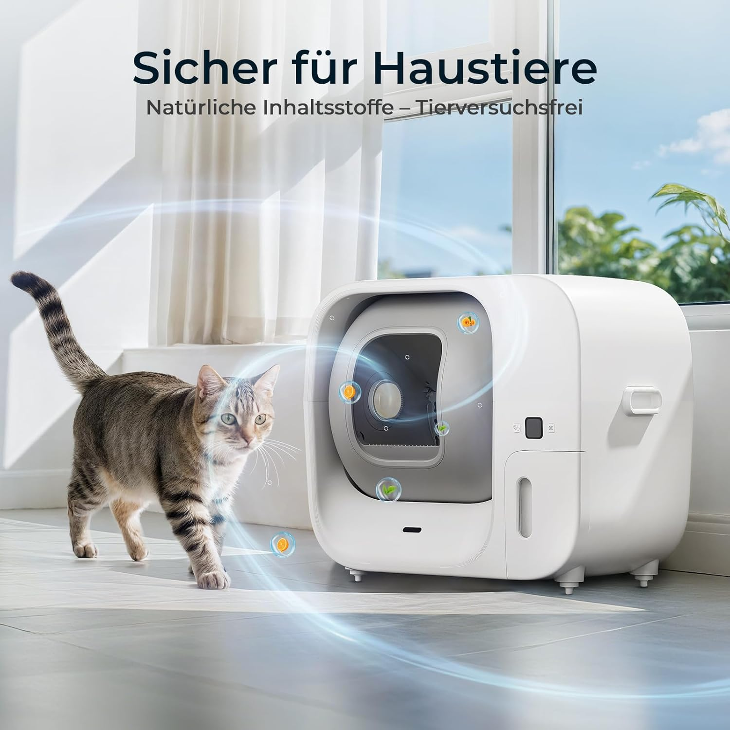 Eine getigerte Katze geht auf eine weiße, moderne Katzentoilette zu. Der Hintergrund umfasst ein Fenster, Vorhänge und einen blauen Himmel.
