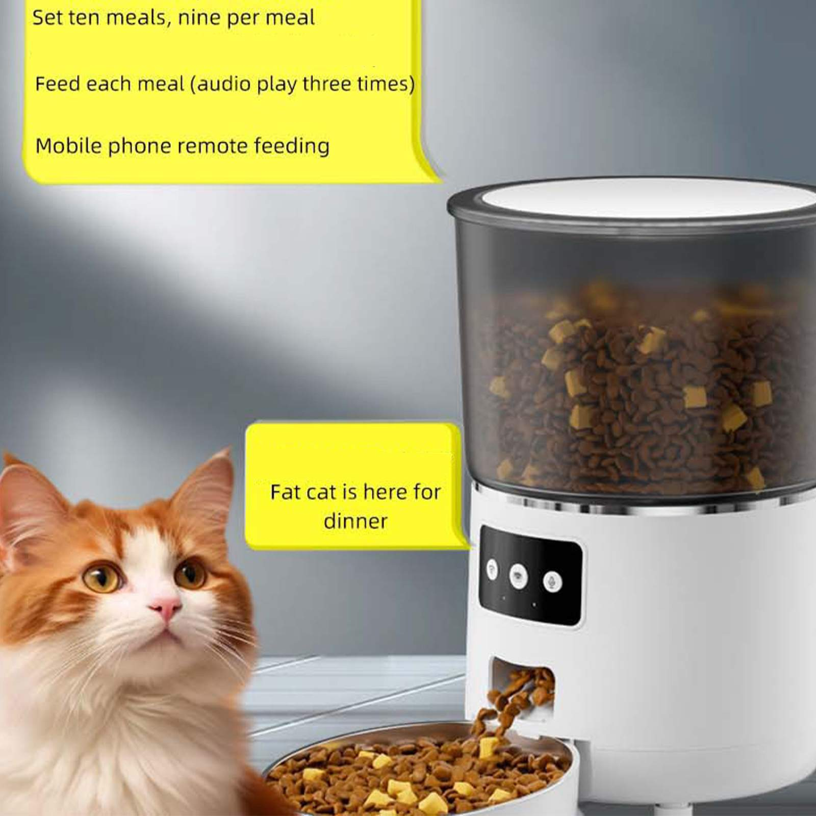 Ein weißer Futterautomat gibt Futter aus. Eine Katze blickt auf, mit einer gelben Sprechblase mit der Aufschrift "Fette Katze ist hier zum Abendessen."