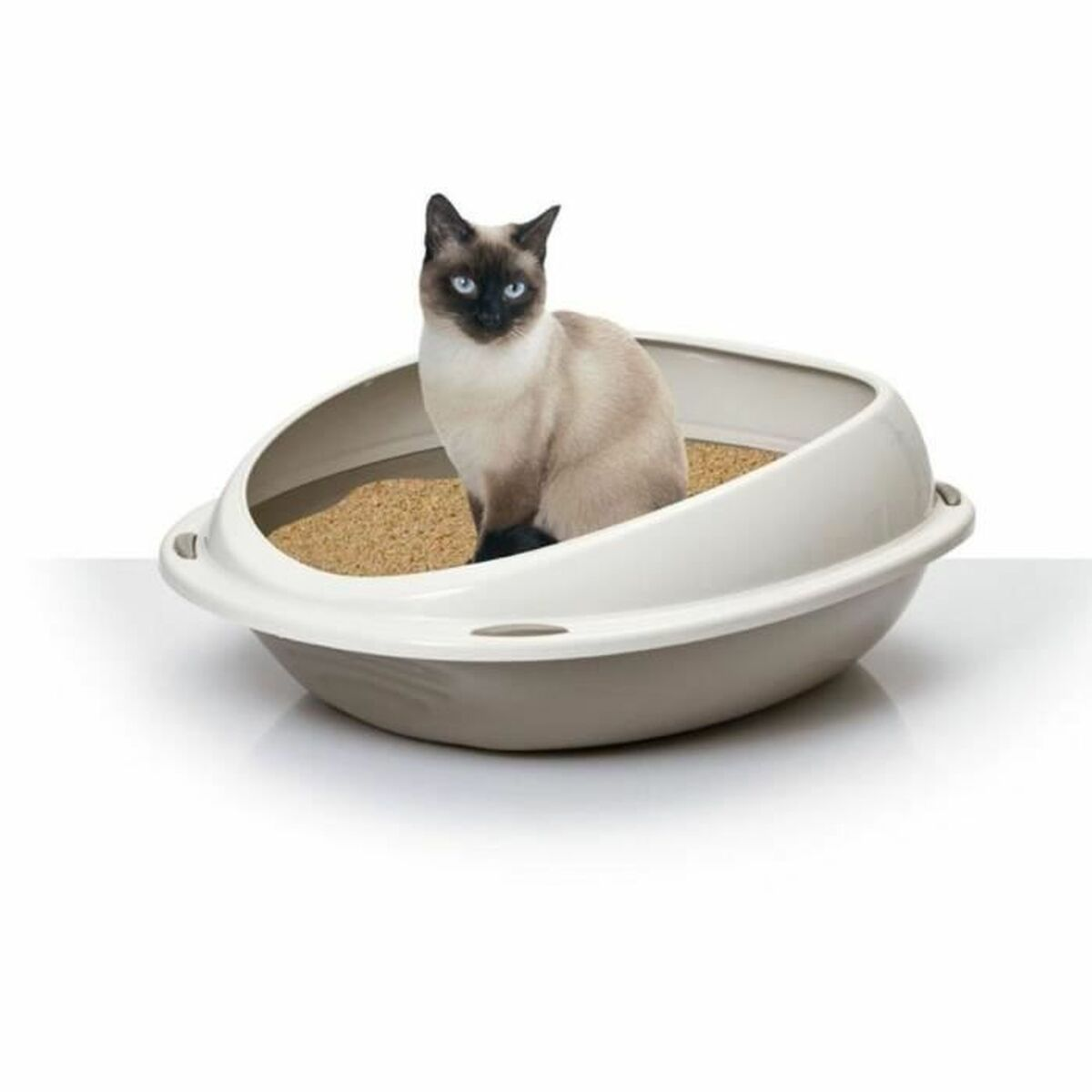 Un gatto siamese è seduto in una lettiera bianca e beige piena di sabbia. Il gatto ha gli occhi blu e guarda avanti.