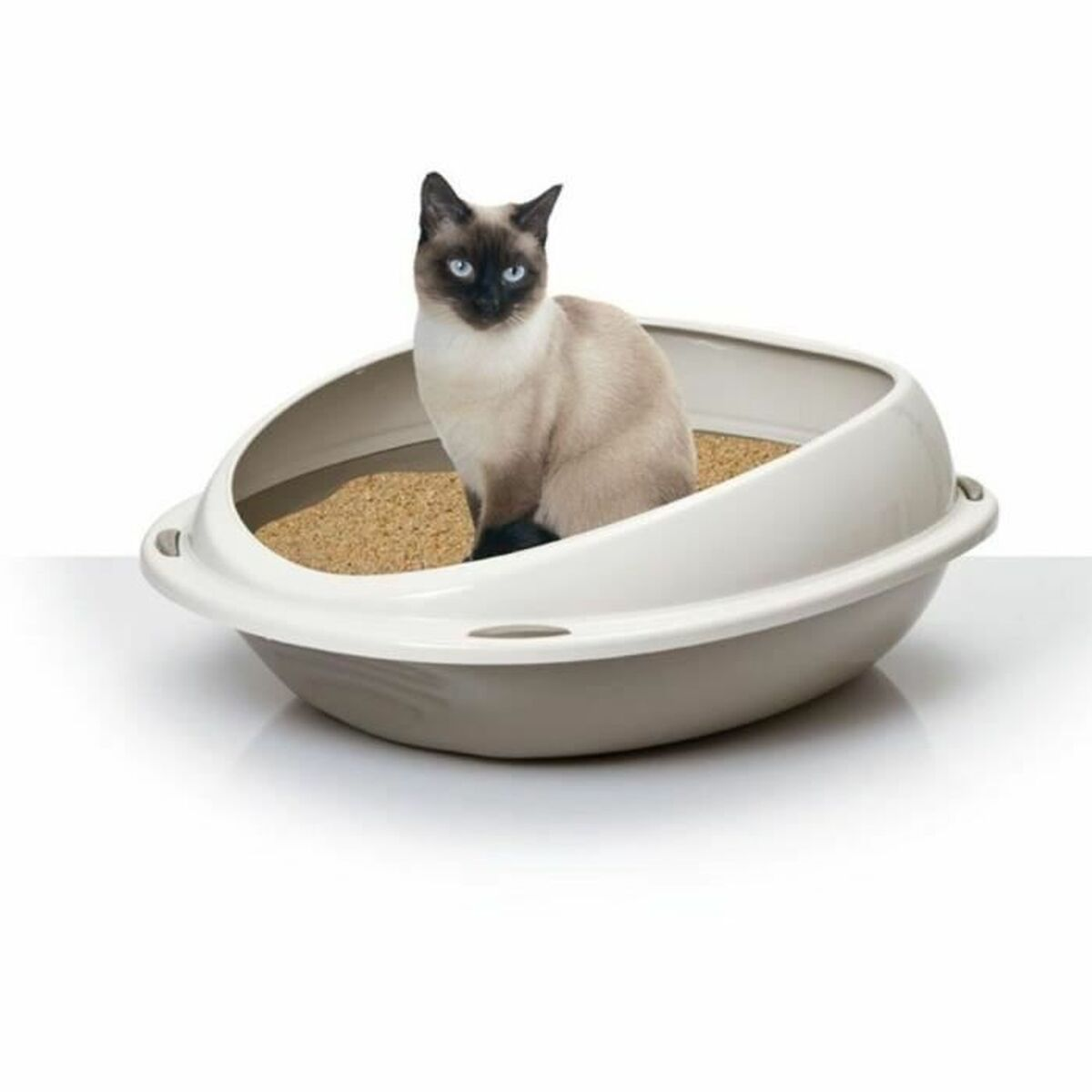 Un gatto siamese è seduto in una lettiera piena di sabbia. La scatola è bianca e grigia. Sfondo bianco.