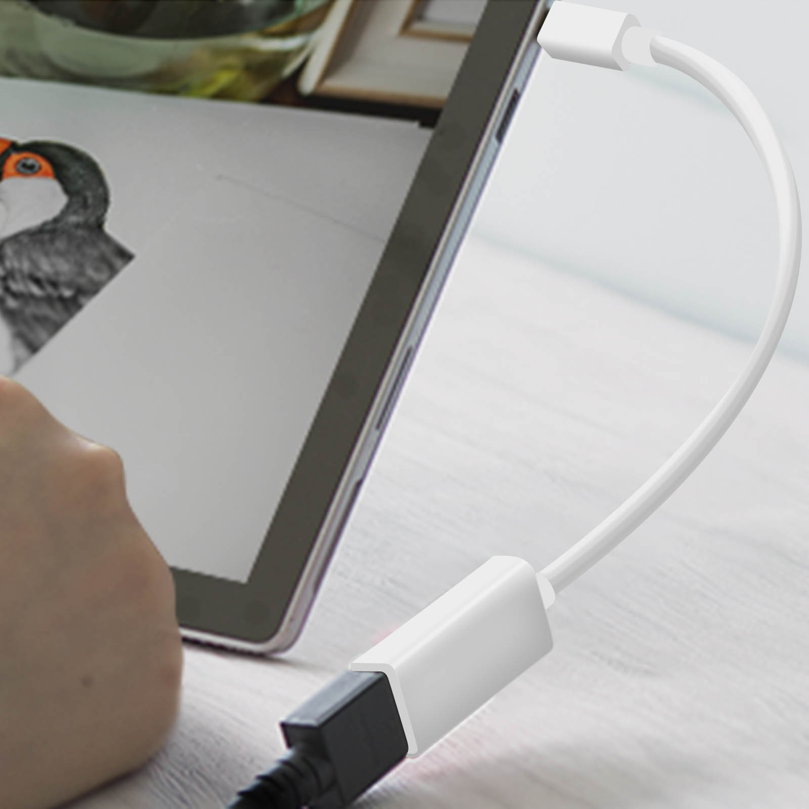 Un cavo bianco collega un tablet che mostra un disegno di uccello. La mano tiene il tablet, è visibile un connettore nero.
