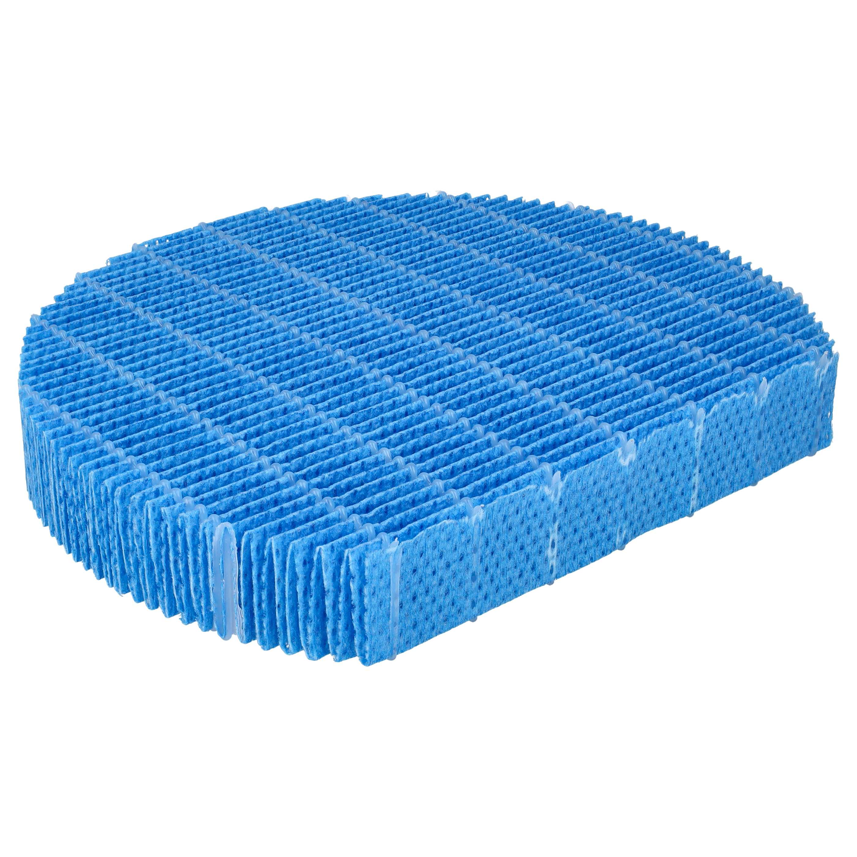 Blauer, ovaler Filter mit Gittermuster. Der Filter besteht aus porösem Material, vor weißem Hintergrund.