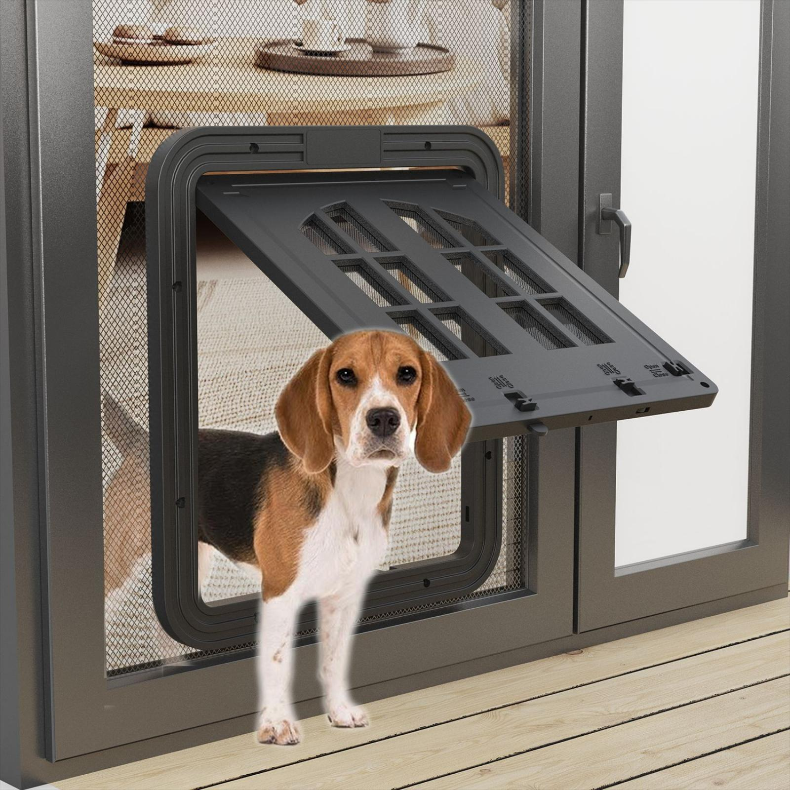 Ein Beagle blickt durch eine Haustiertür in einer Glastür. Der Hund ist braun, schwarz und weiß. Die Tür ist offen.