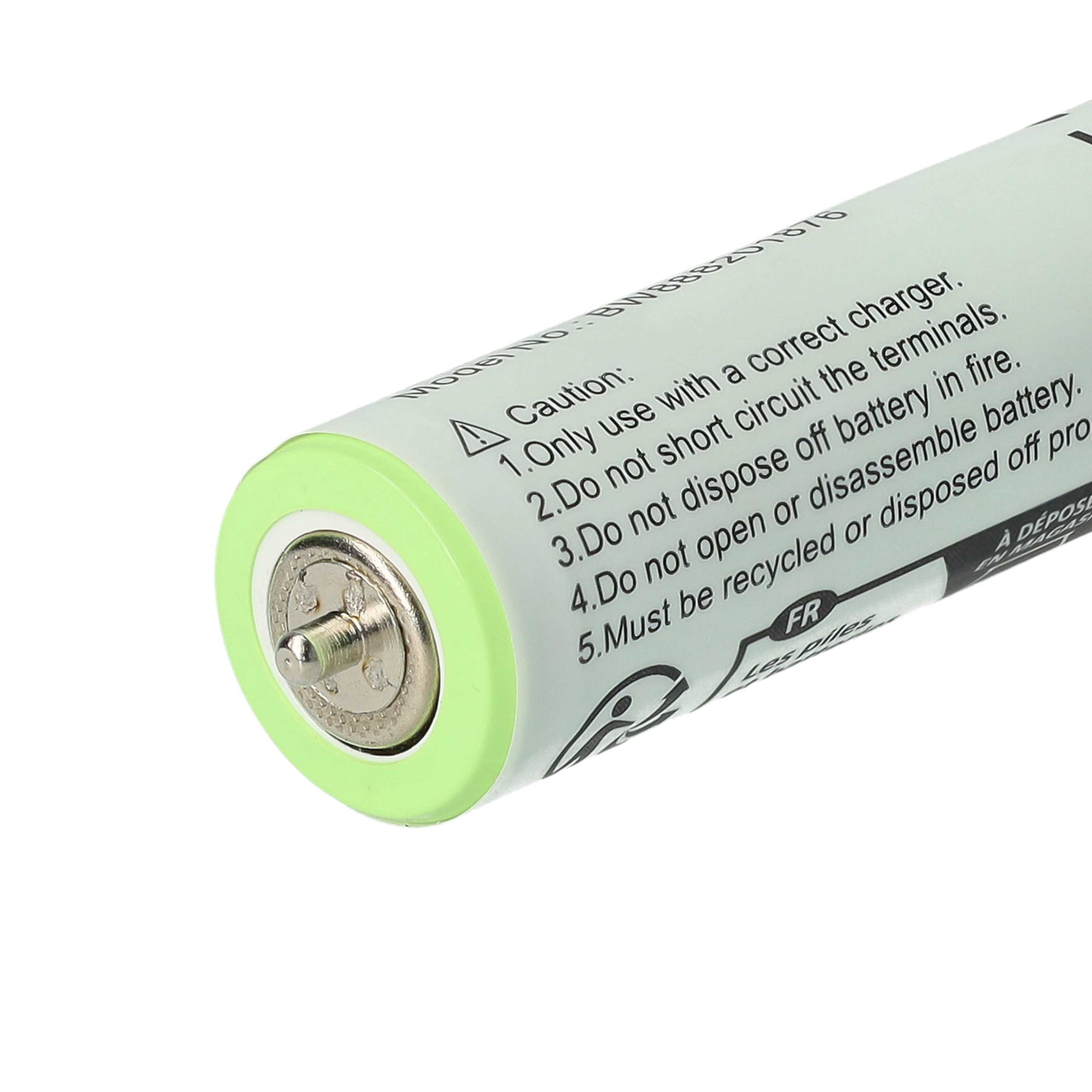 Eine grüne und silberne Batterie mit schwarzem Warntext. Die Batterie ist zylindrisch und hat eine Metalloberseite.