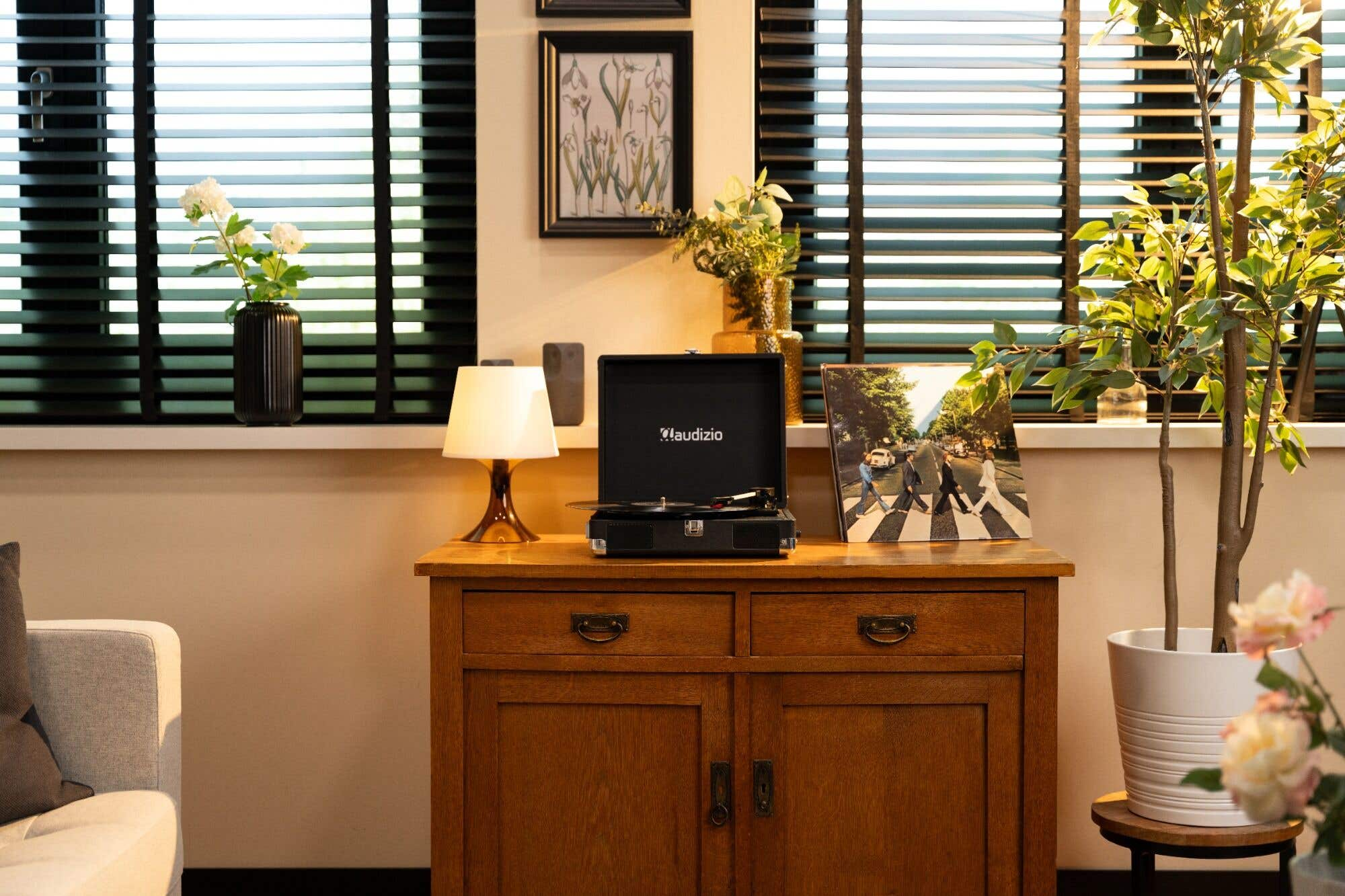 A wooden cabinet with a record player, framed art, a lamp, and plants. The Beatles' Abbey Road album is visible.