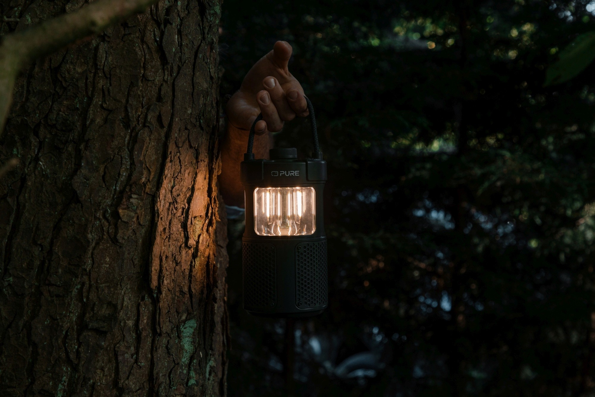 Dłoń trzymająca zapaloną czarną latarnię obok pnia drzewa. Tło to ciemny las.