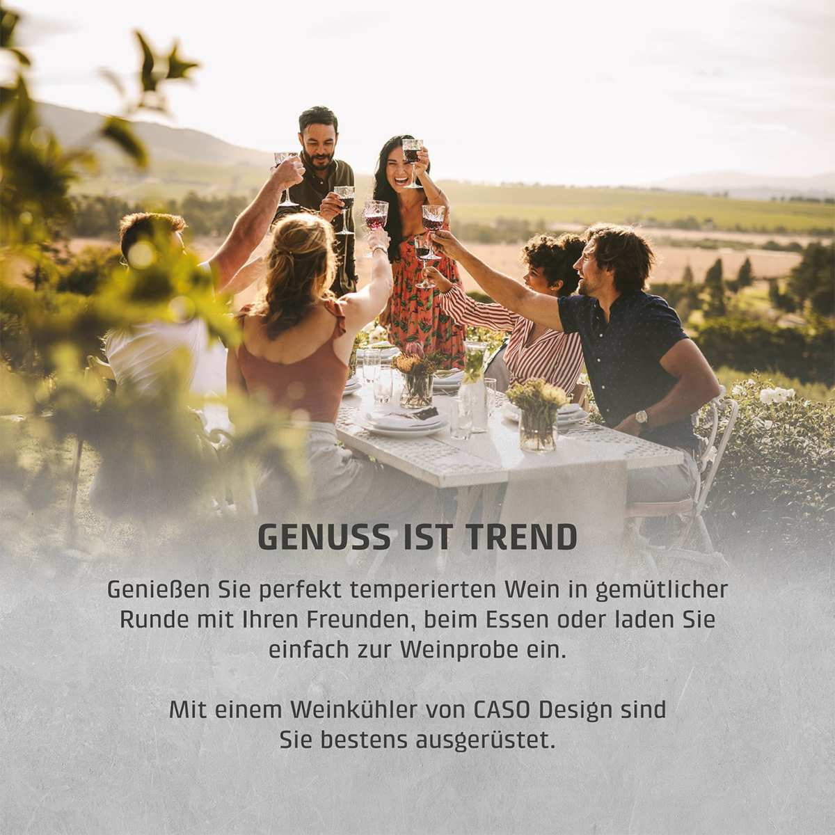 Eine Gruppe von Freunden stößt mit Weingläsern an einem Tisch im Freien an. Der Hintergrund zeigt einen Weinberg und sanfte Hügel.